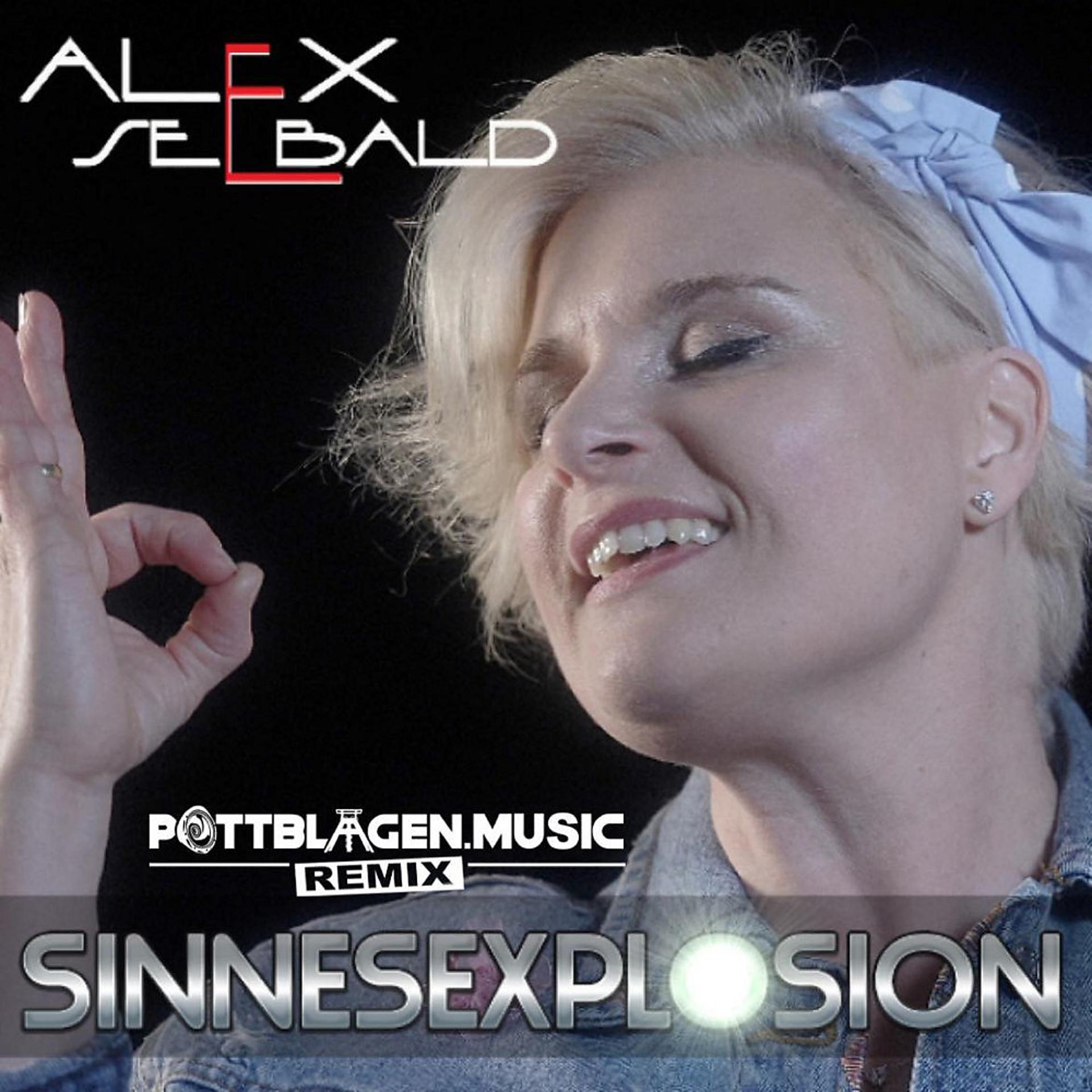 Постер альбома Sinnesexplosion (Pottblagen.Music Remix)