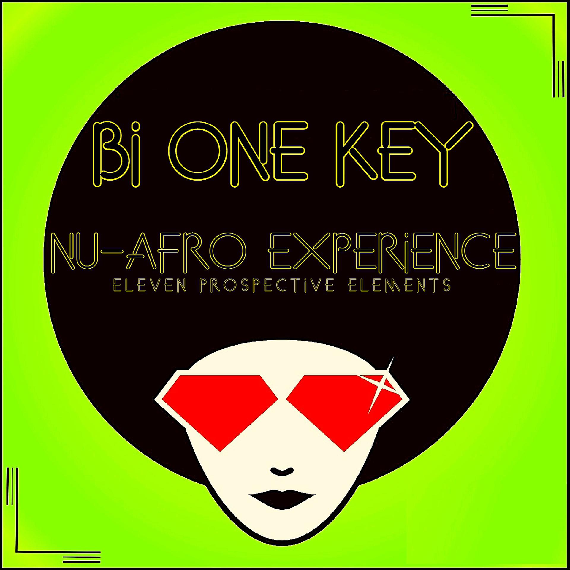 Постер альбома Nu-Afro Experience