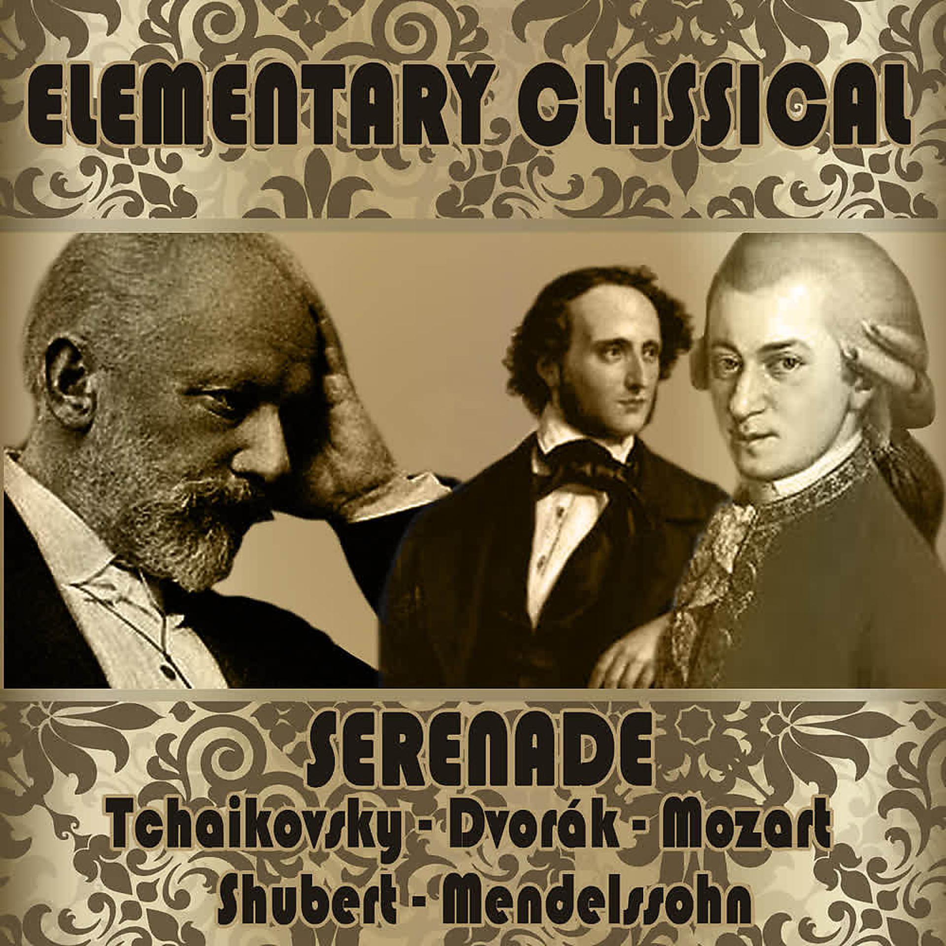 Постер альбома Elementary Classical. Serenade