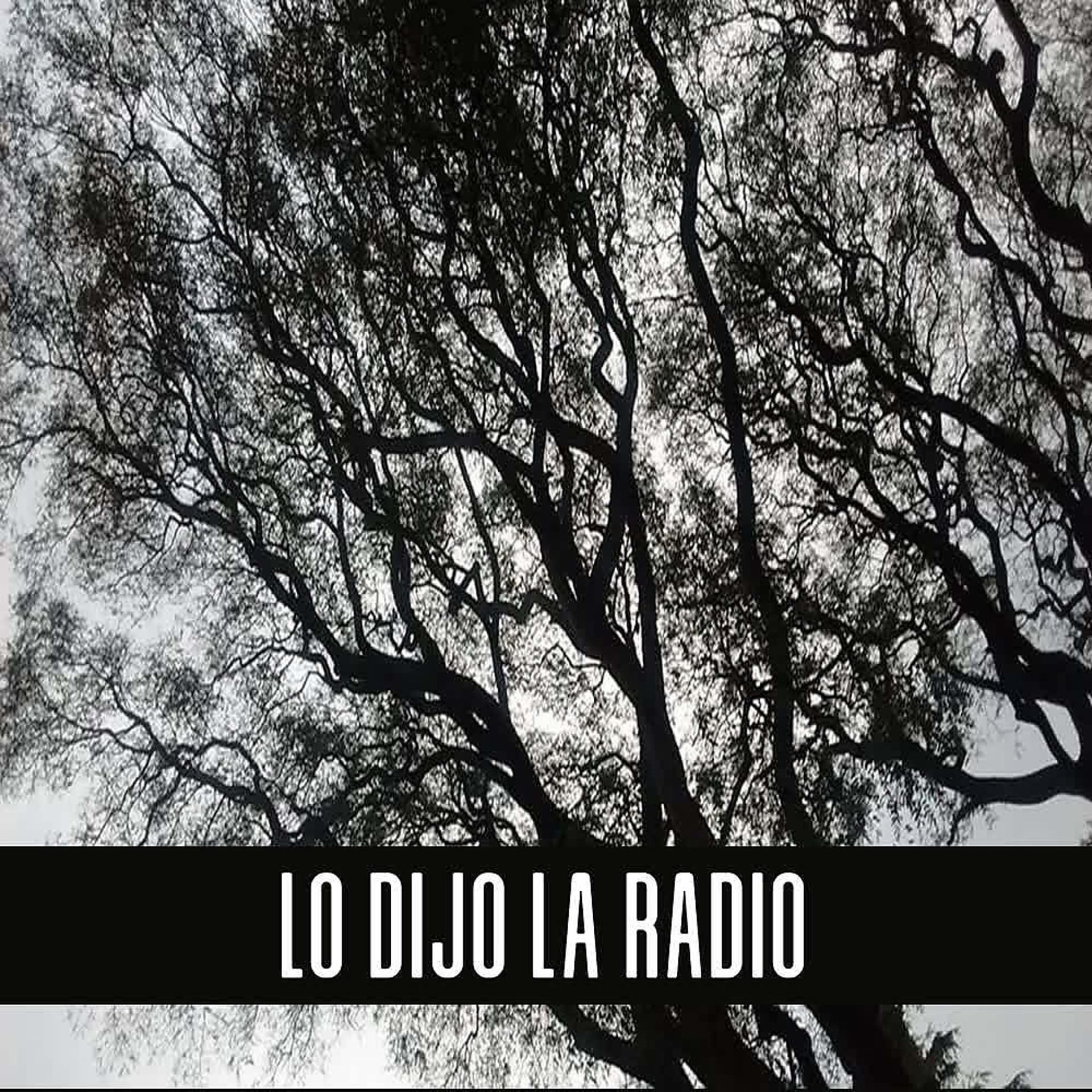 Постер альбома Lo Dijo la Radio