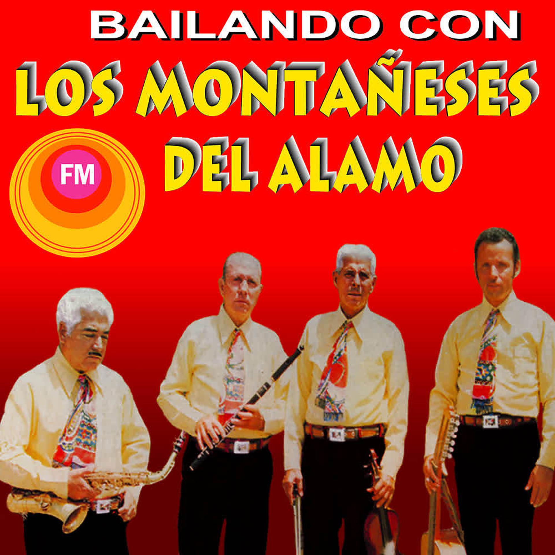 Постер альбома Bailando Con
