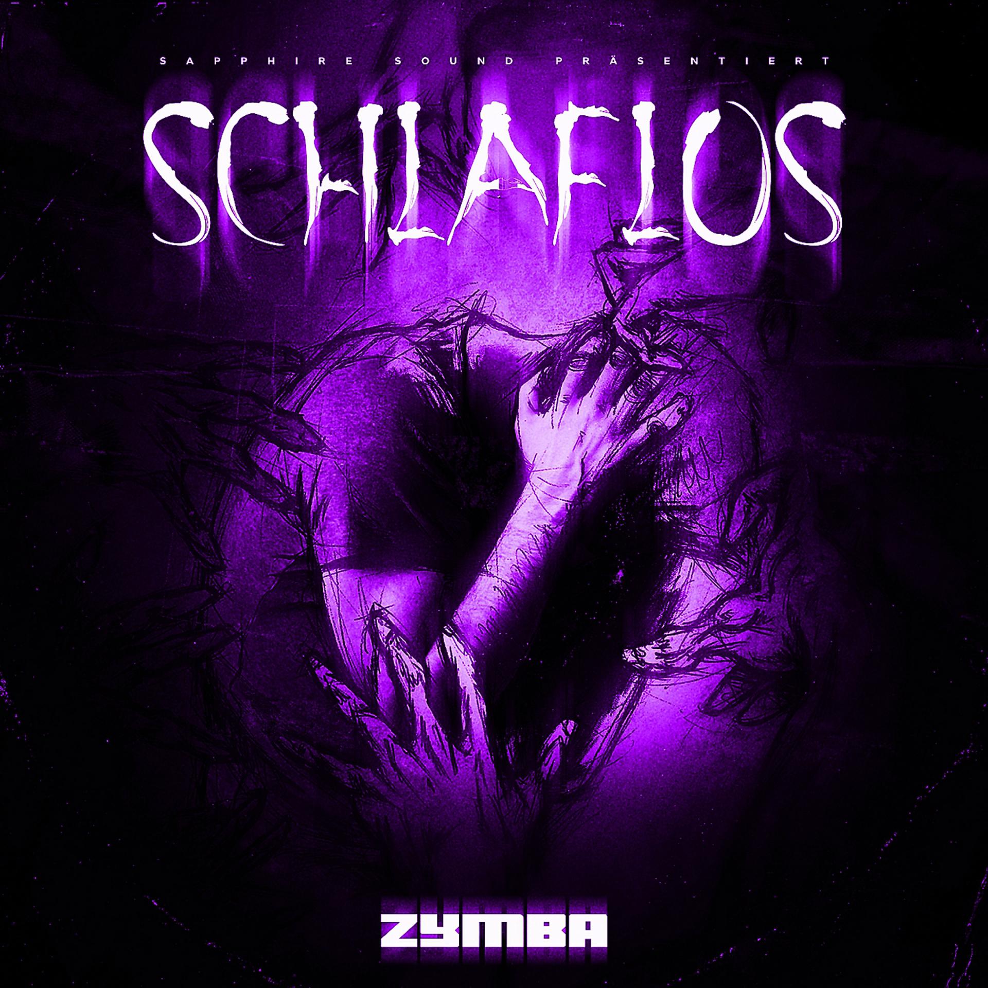 Постер альбома Schlaflos