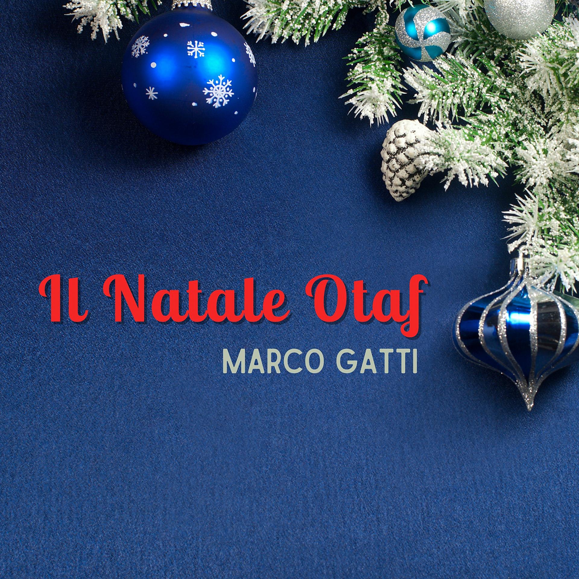 Постер альбома Il Natale Otaf