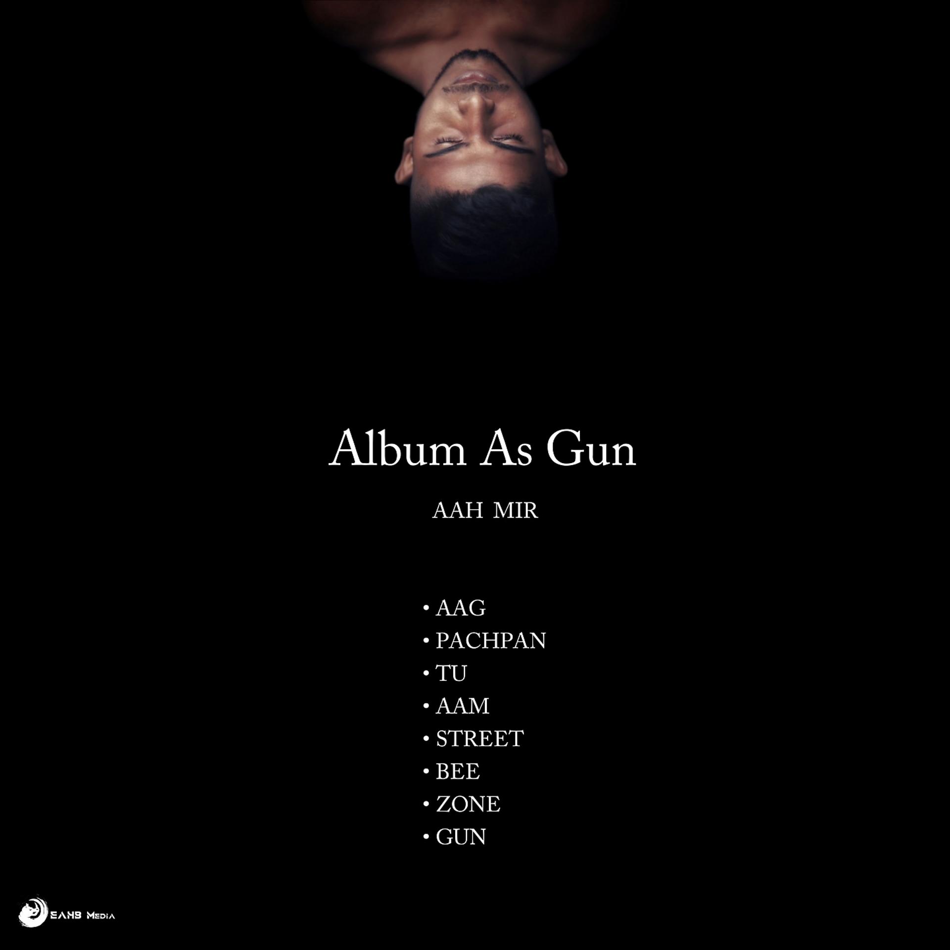 Постер альбома Album As Gun