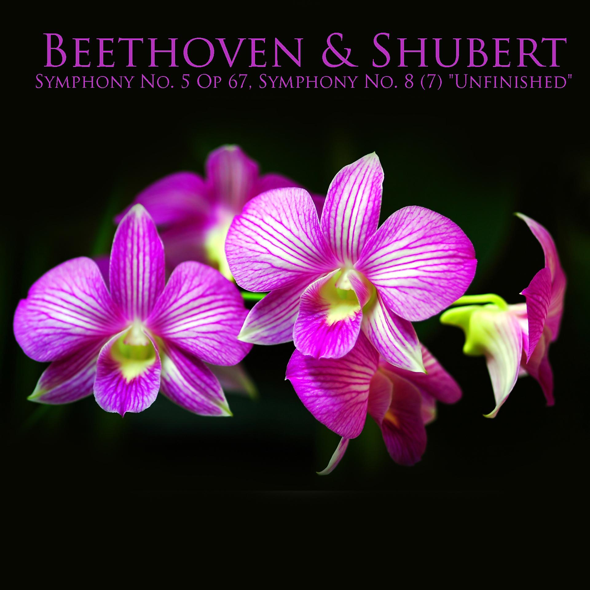Постер альбома Beethoven & Shubert: Symphony No. 5 Op. 67, Symphony No. 8 (7) "Unfinished"