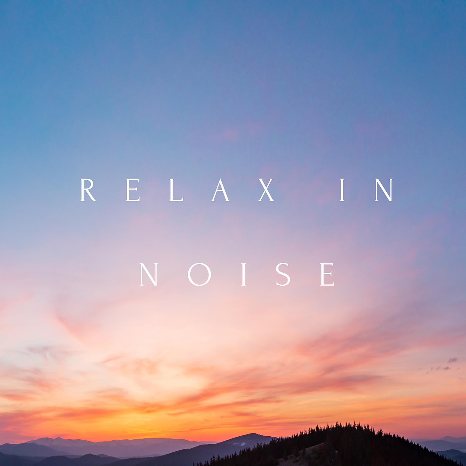 Постер альбома Relax In Noise