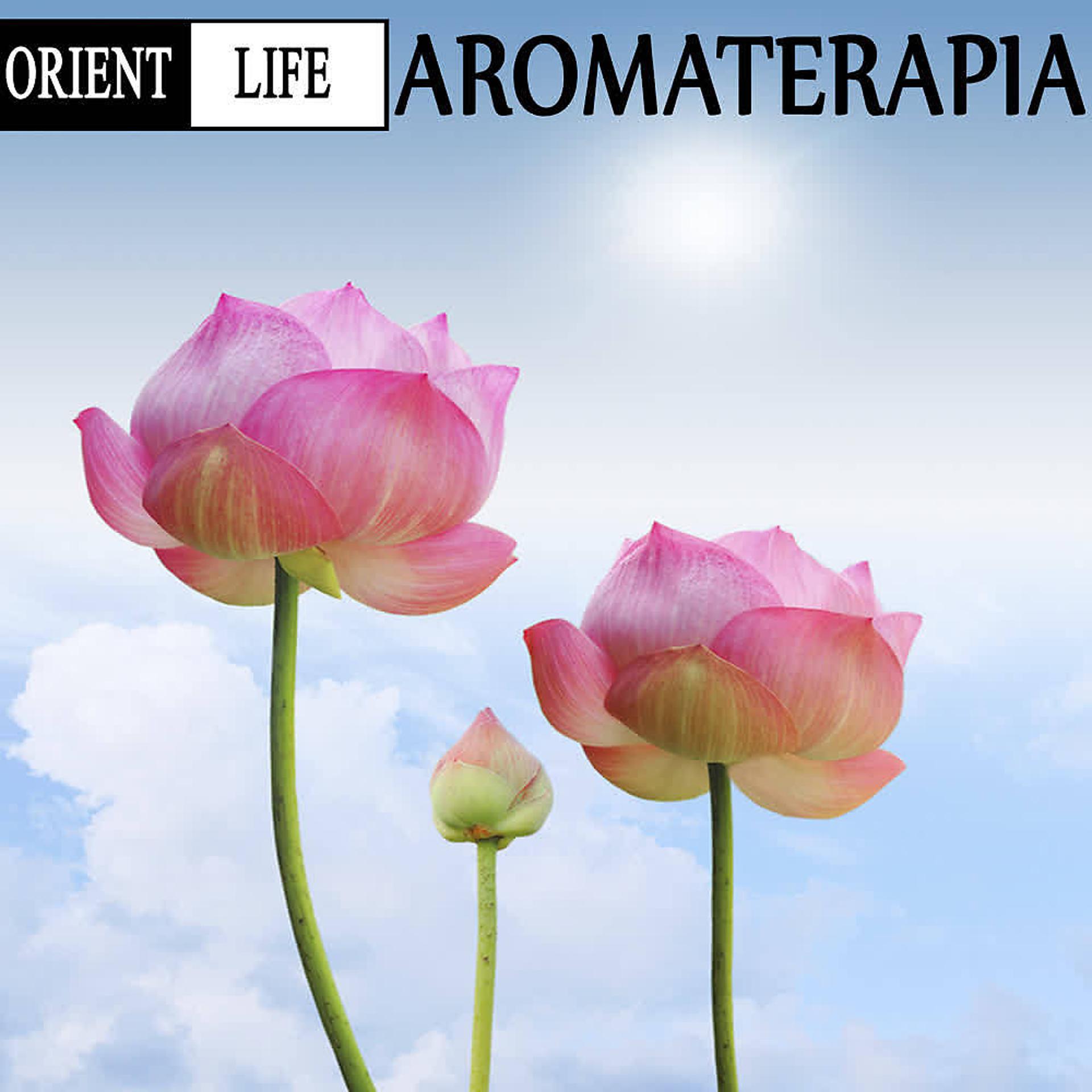 Постер альбома Orient Life. Aromaterapia