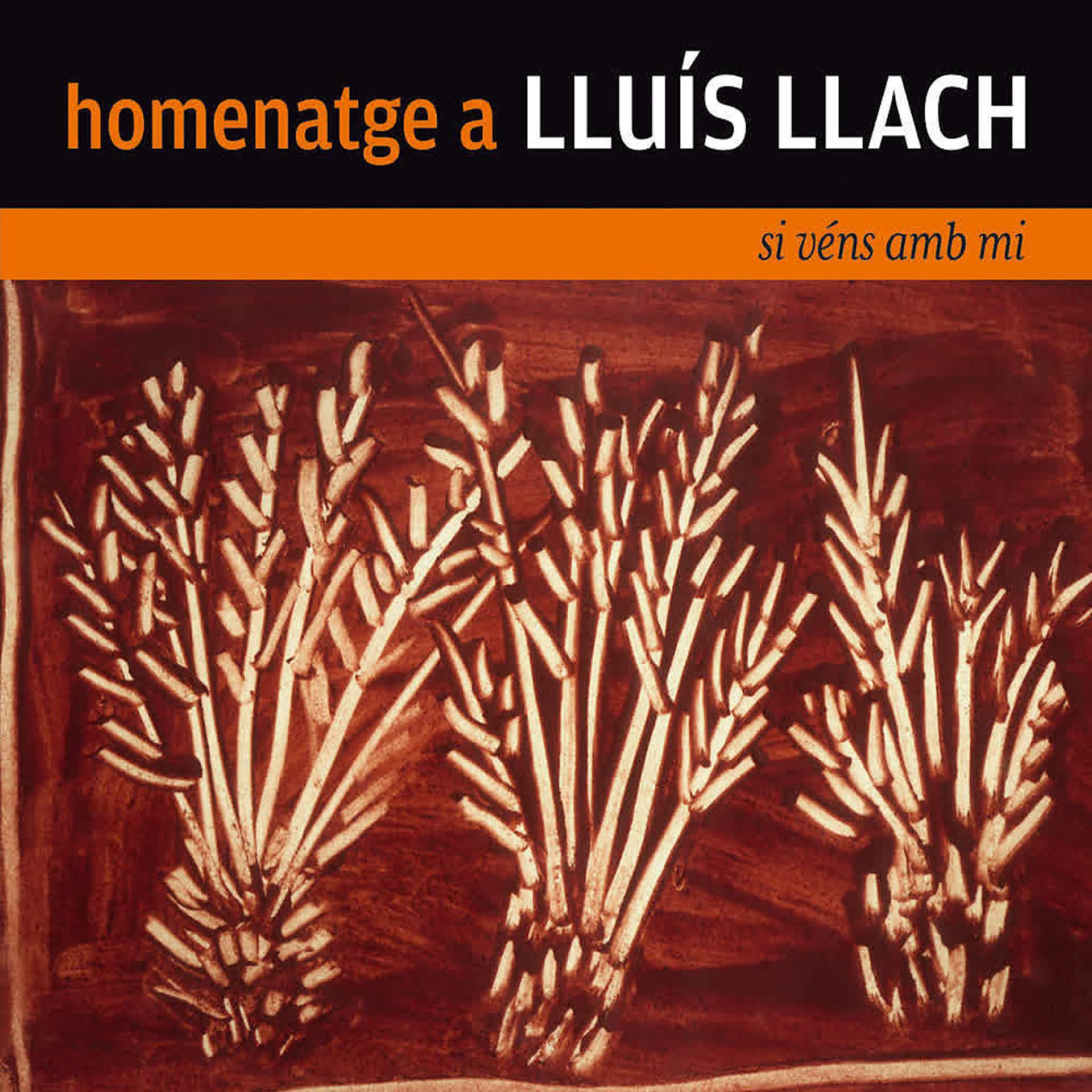Постер альбома Homenatge a Lluís Llach. Si Véns amb Mi