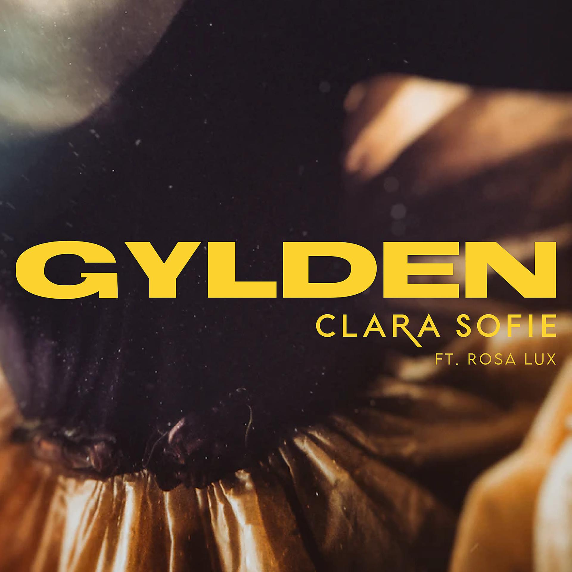 Постер альбома Gylden