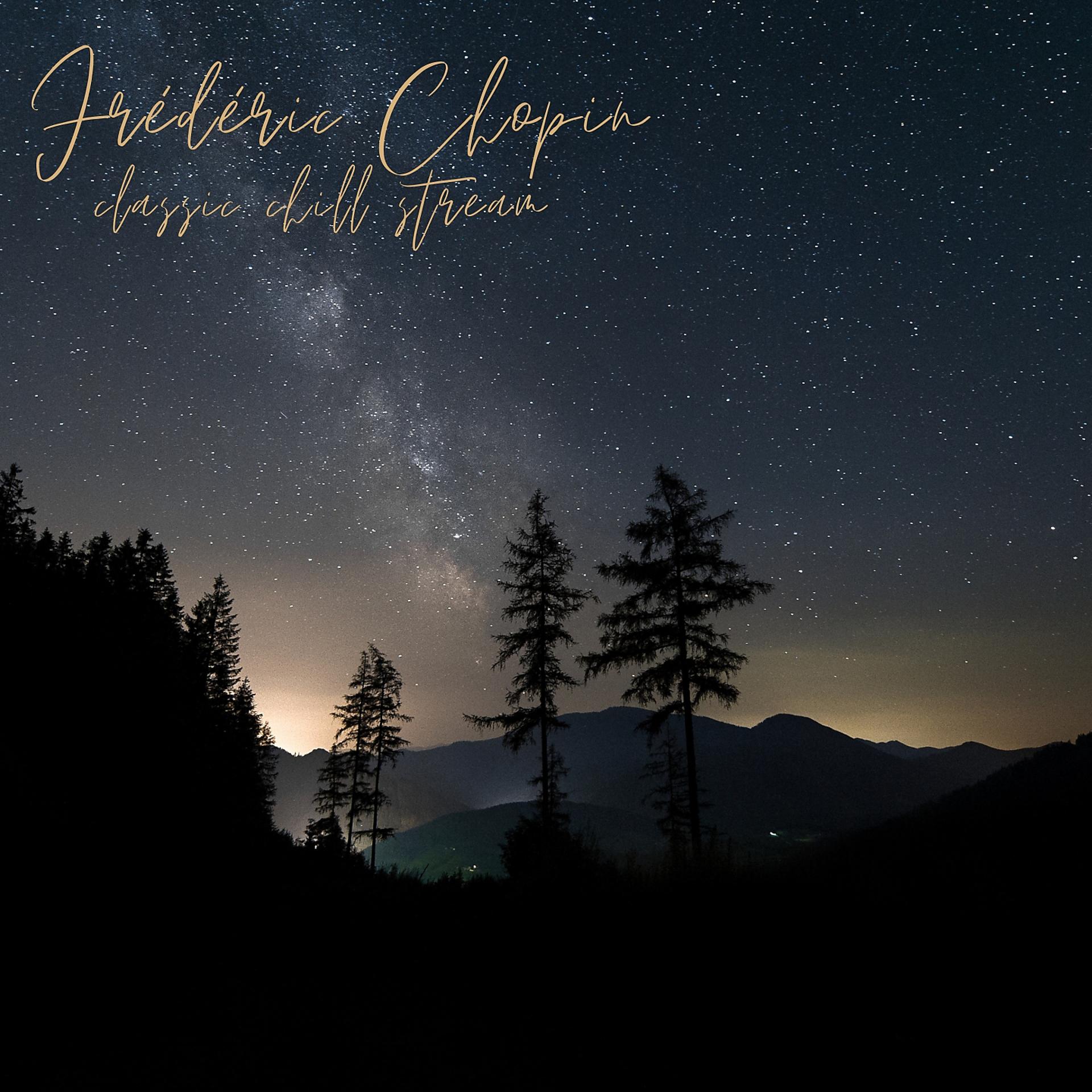 Постер альбома Chopin - Amour de nuit d'été IV