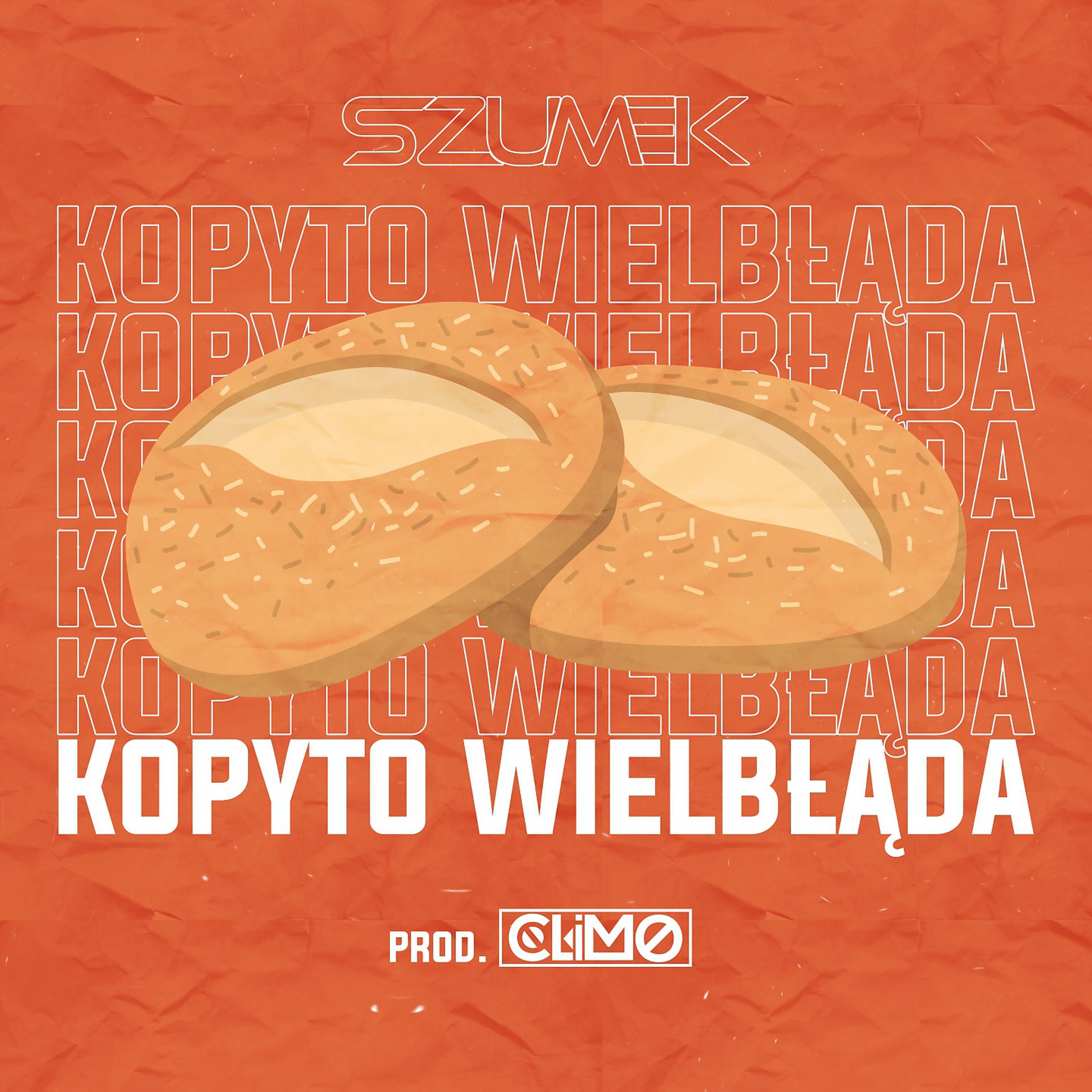 Постер альбома Kopyto Wielbłąda