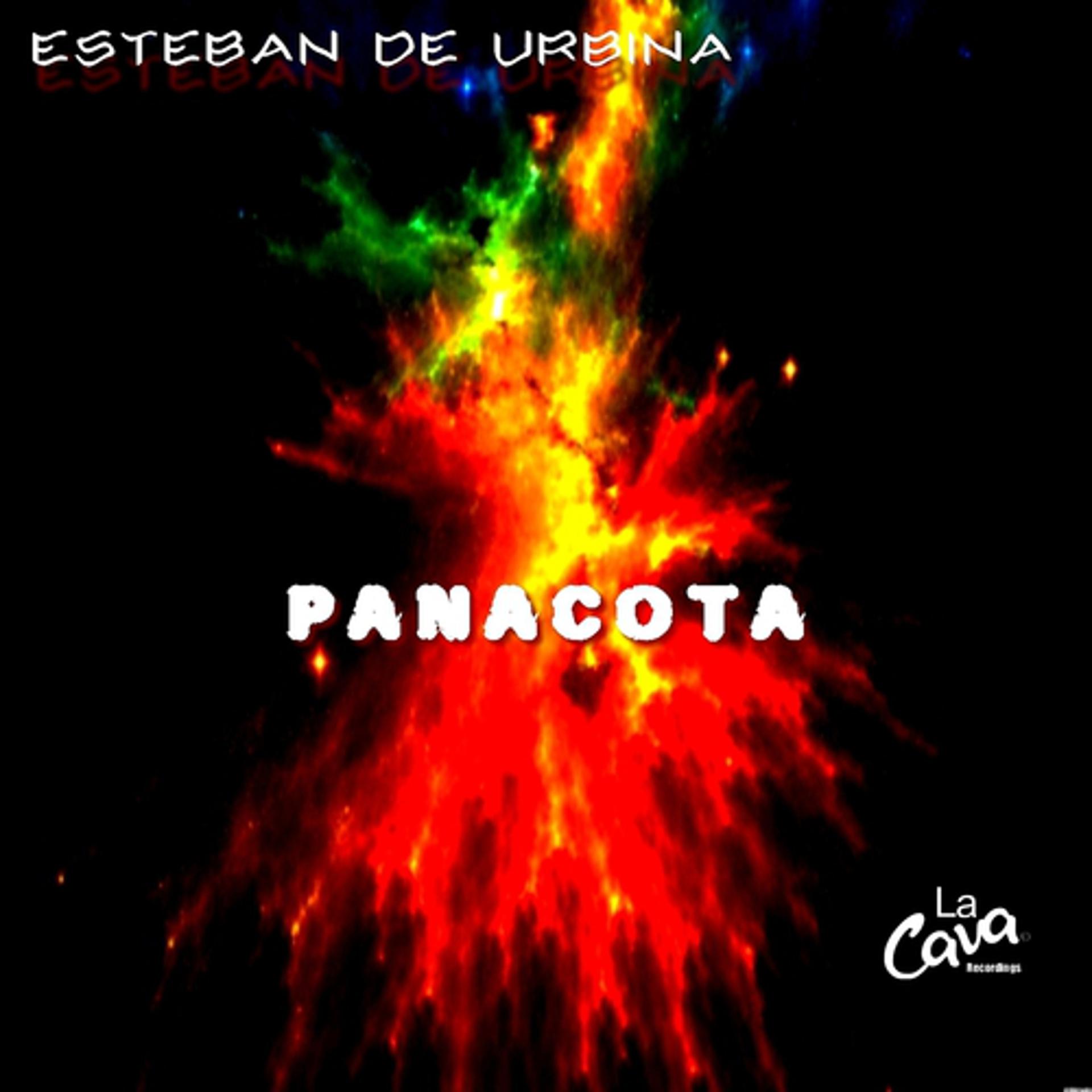 Постер альбома Panacota