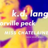 Постер альбома Miss Chatelaine (Iron Hoof Remix)
