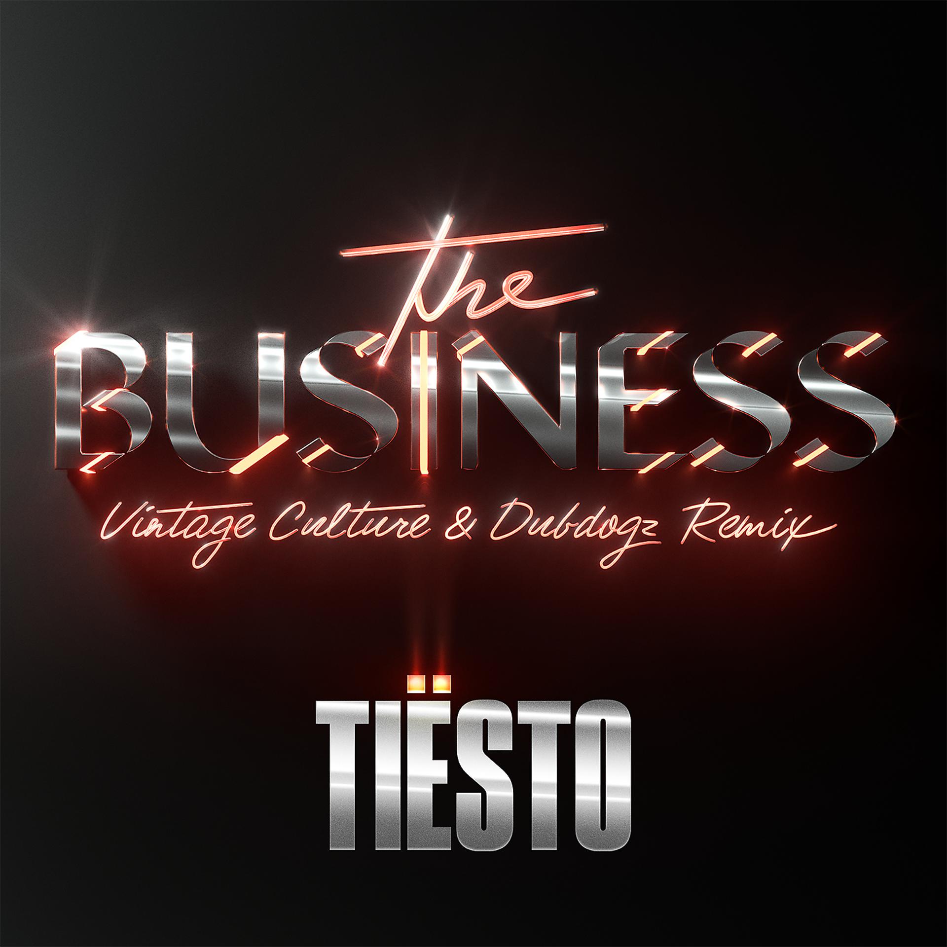Постер альбома The Business (Vintage Culture & Dubdogz Remix)