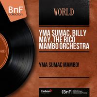 Постер альбома Yma Sumac Mambo! (Mono Version)