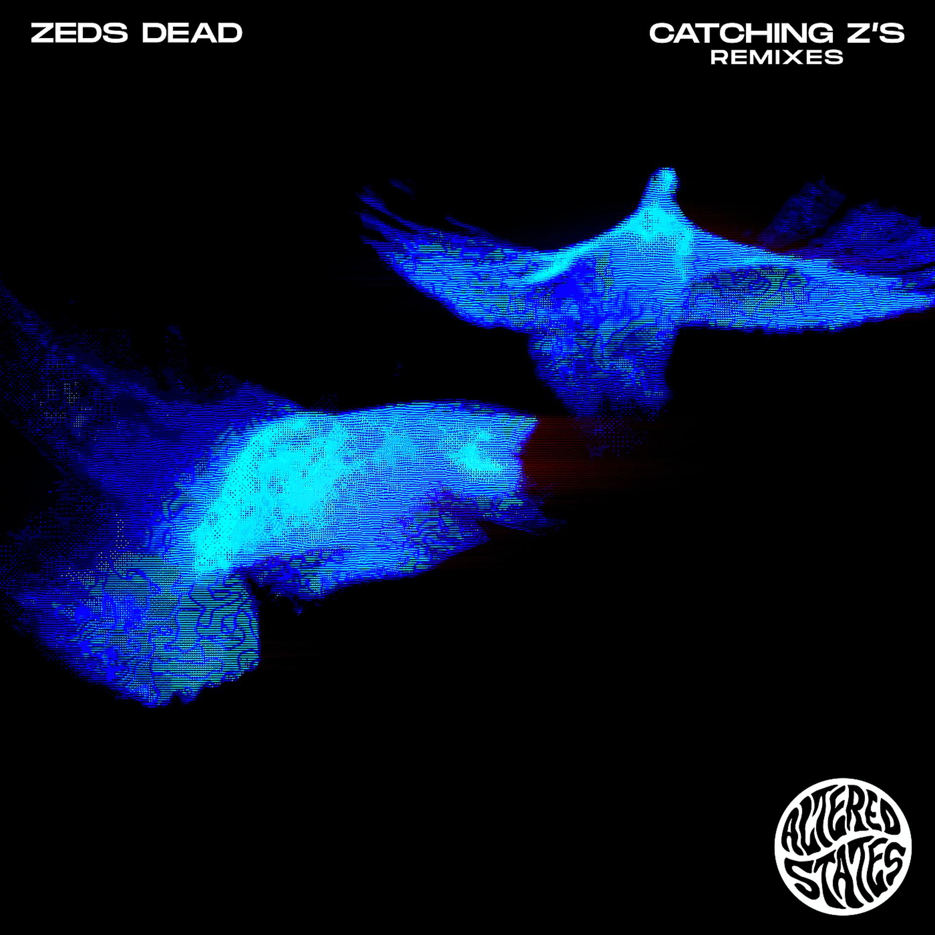 Постер альбома Catching Z's