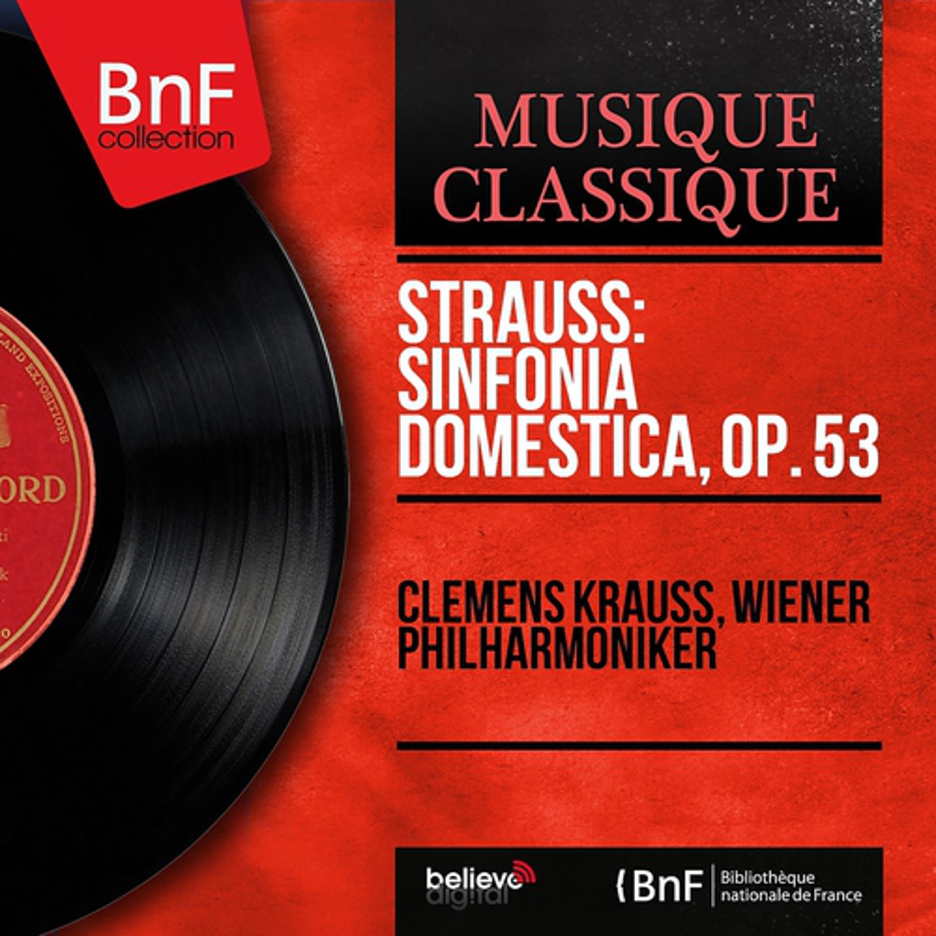 Постер альбома Strauss: Sinfonia domestica, Op. 53 (Mono Version)