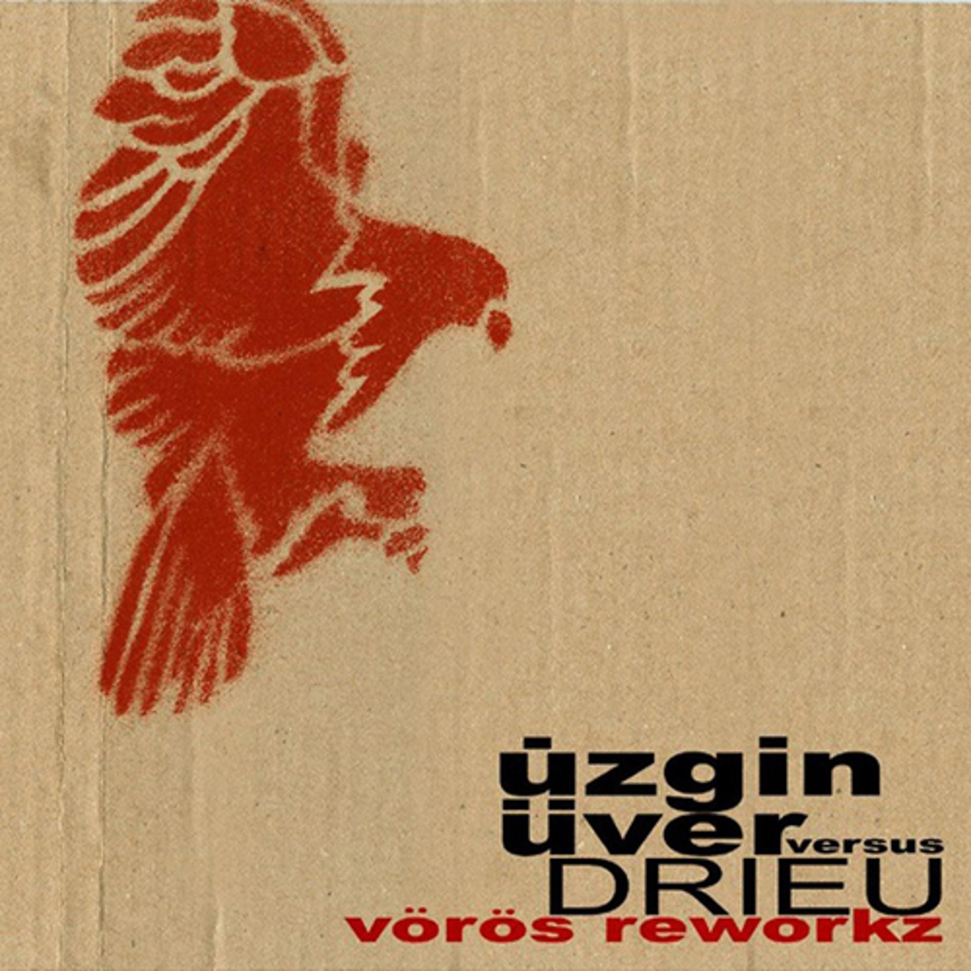 Постер альбома Vörös Reworkz