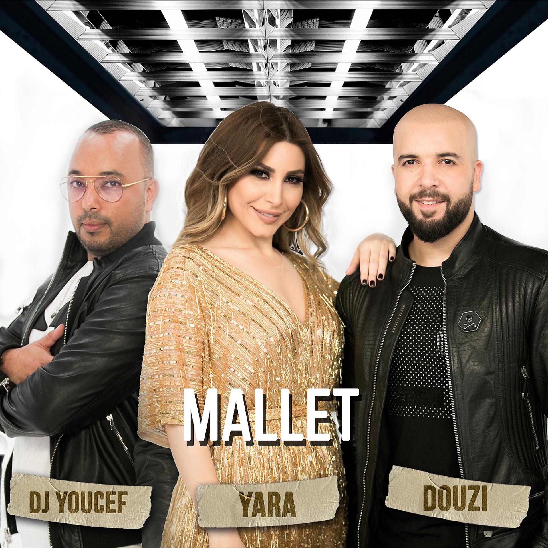 Постер альбома Mallet