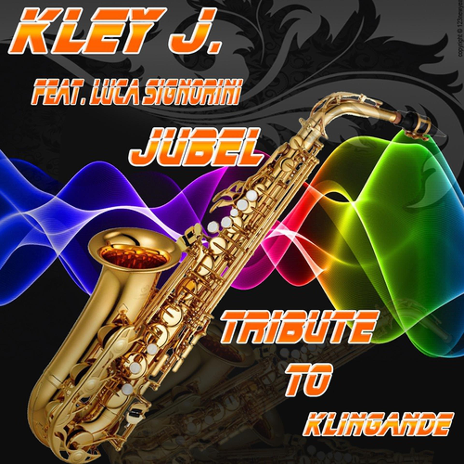 Постер альбома Jubel: Tribute to Klingande