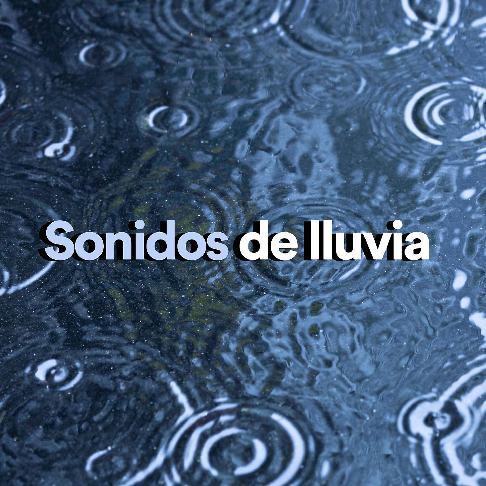 Постер альбома Sonidos de Lluvia