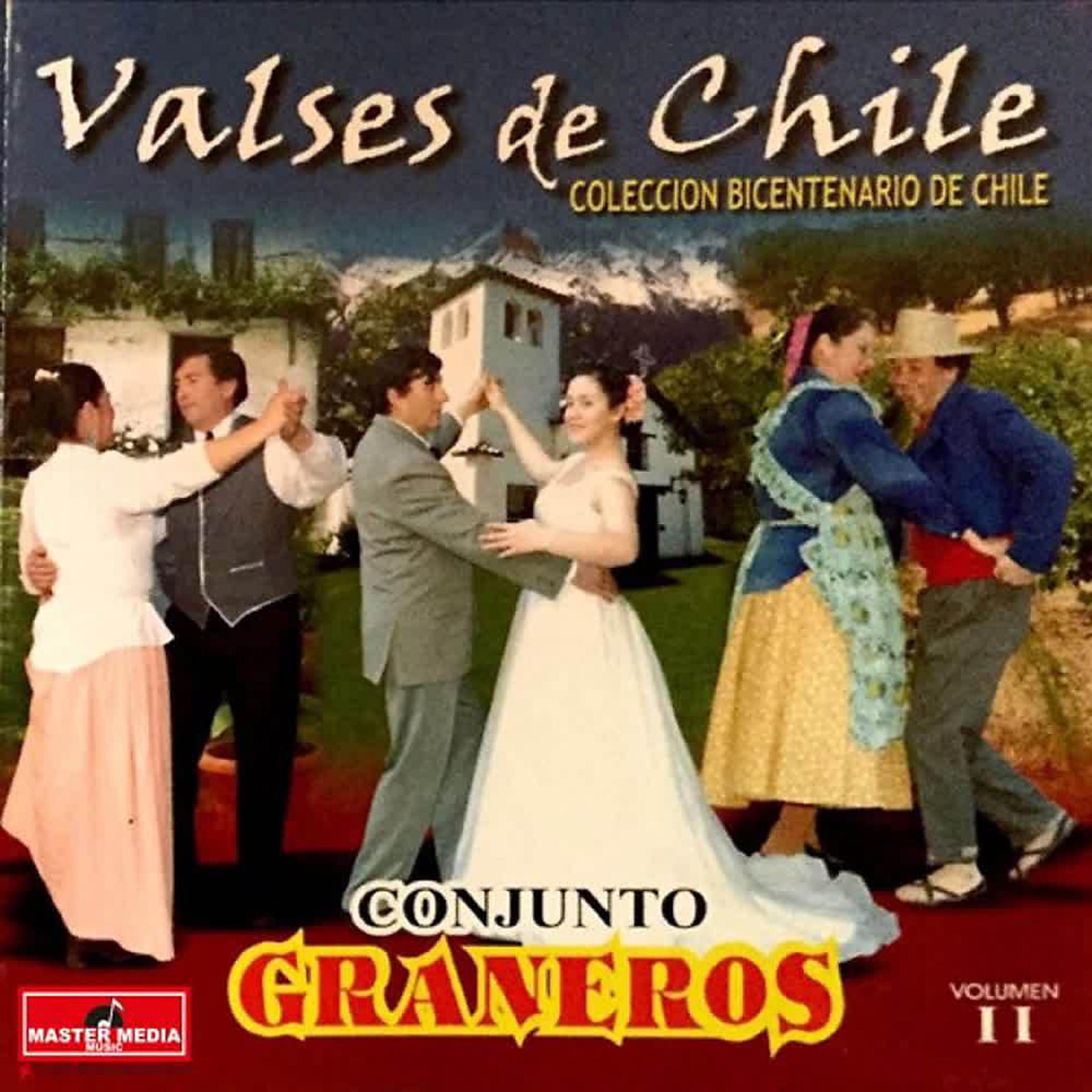Постер альбома Valses de Chile (Vol. II)