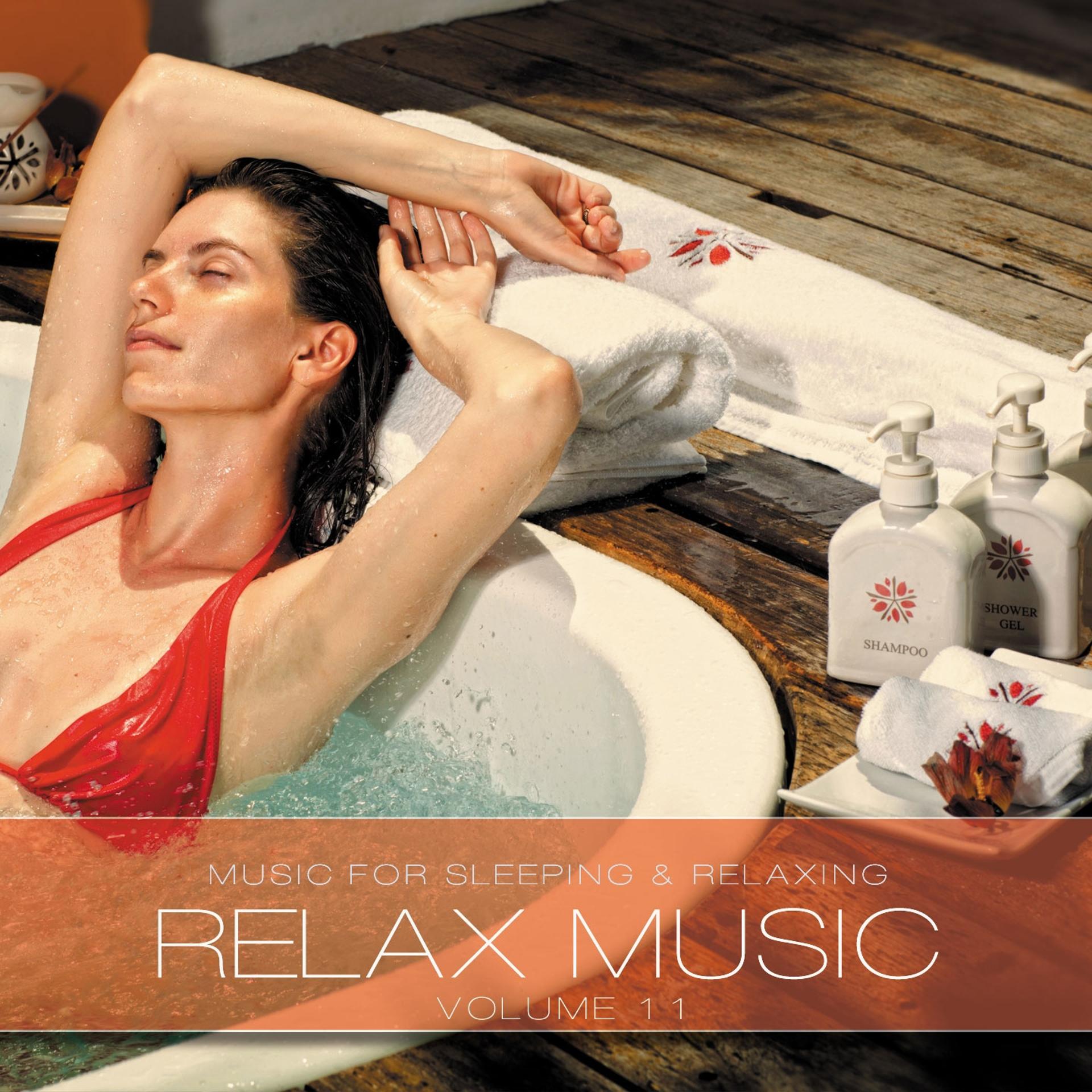 Постер альбома Relax Music, Vol. 11