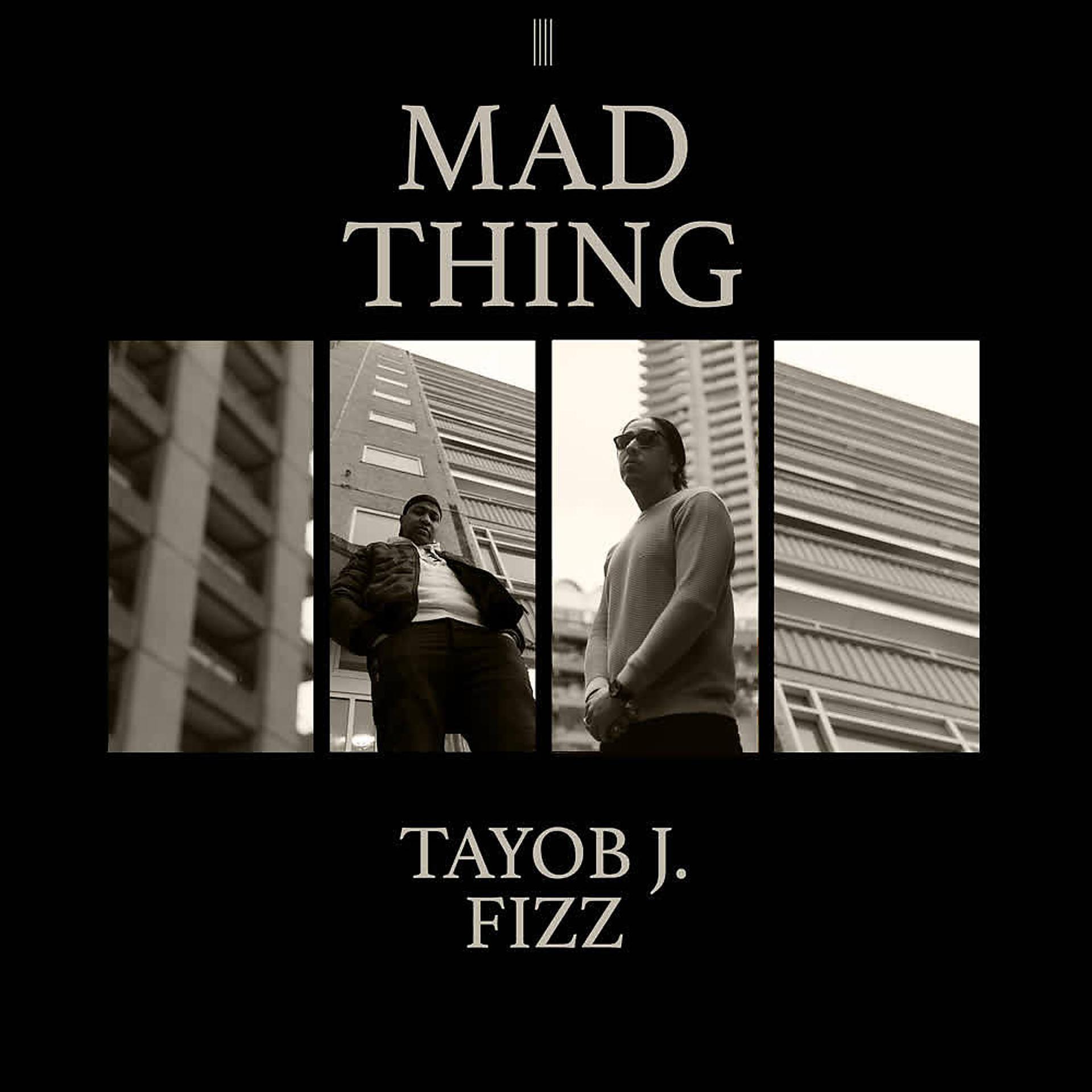 Постер альбома Mad Thing