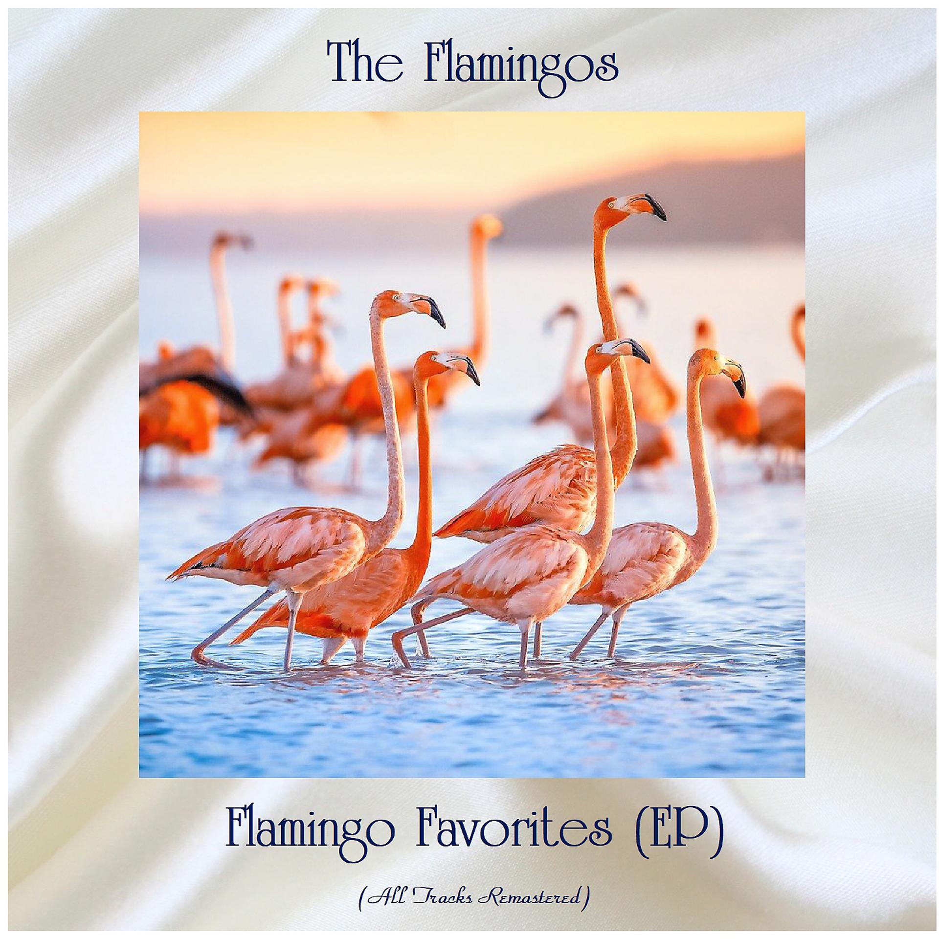 Постер альбома Flamingo Favorites (EP)