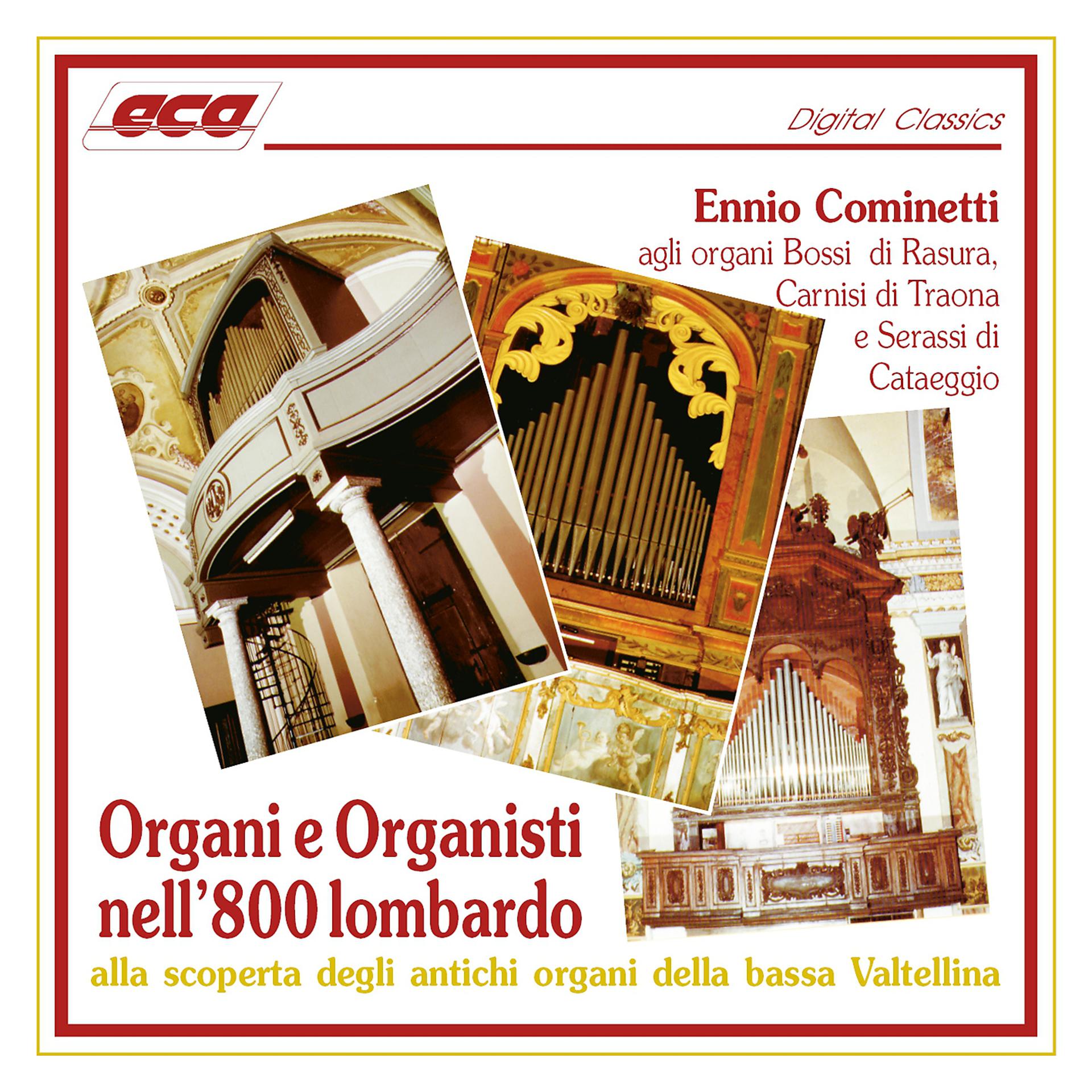 Постер альбома Organi e Organisti nell'800 lombardo