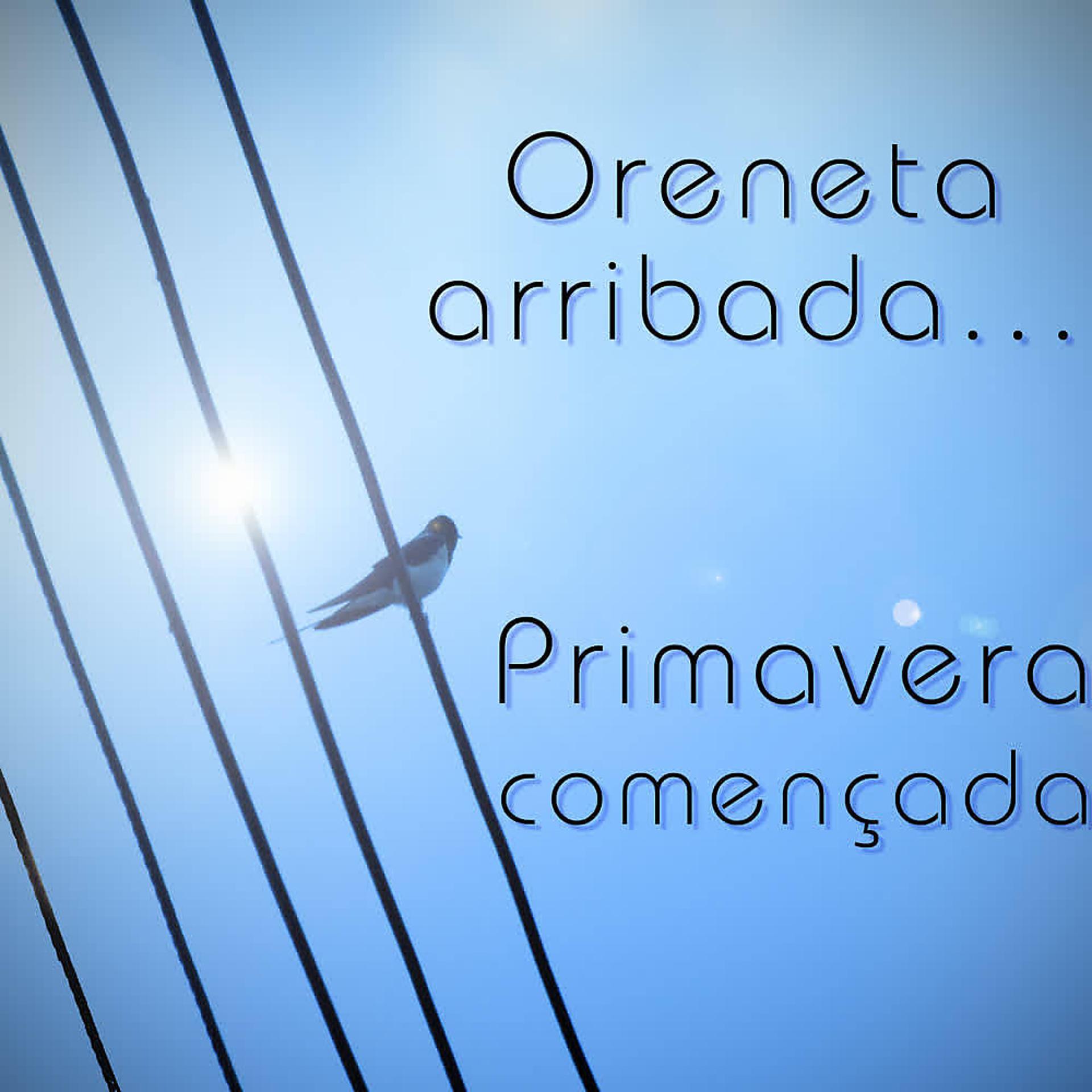 Постер альбома Oreneta Arribada... Primavera Començada