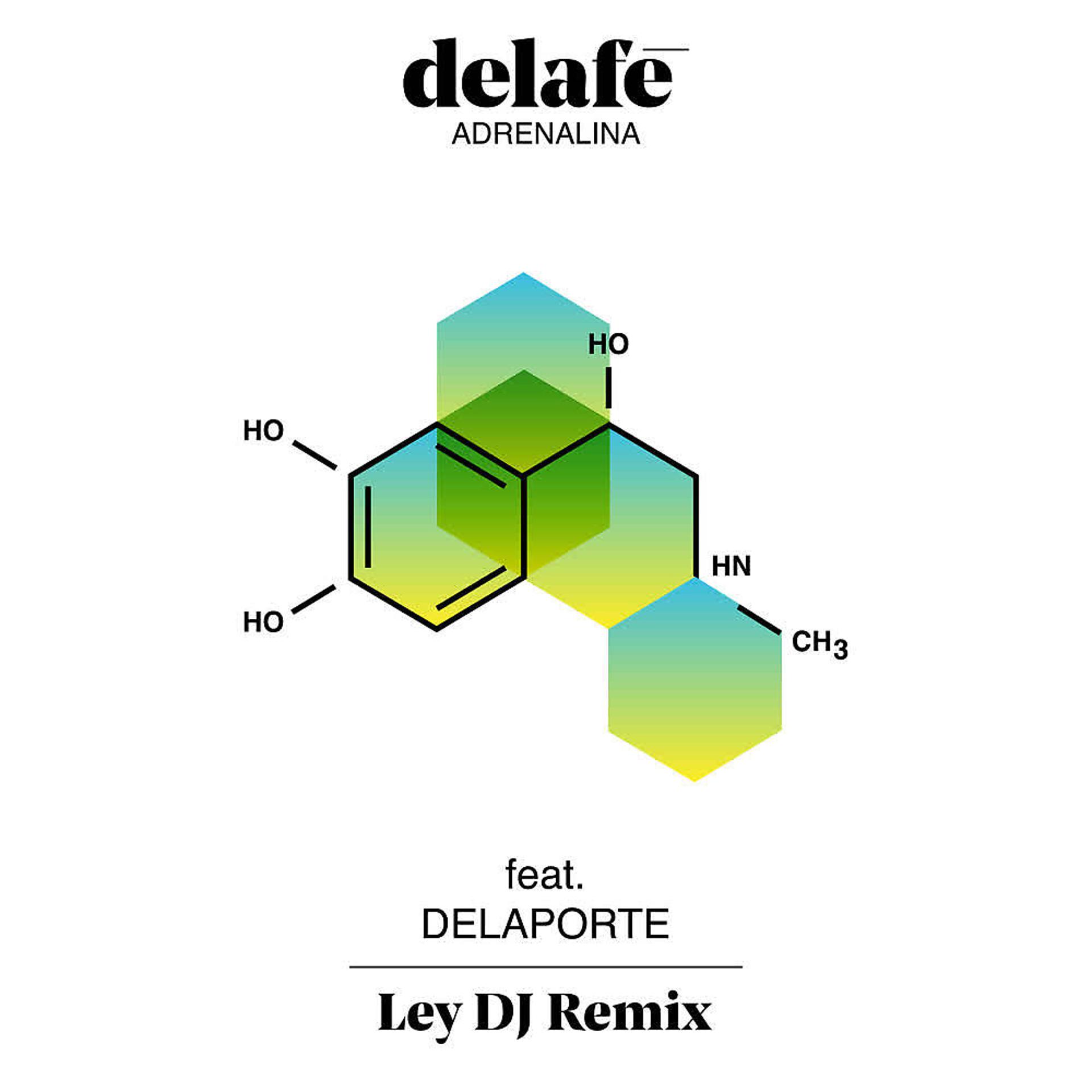 Постер альбома Adrenalina (Ley DJ Remix)