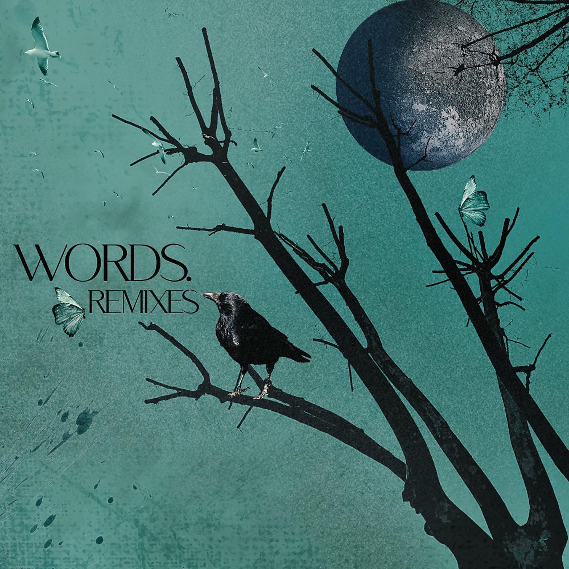 Постер альбома Words - Remixes