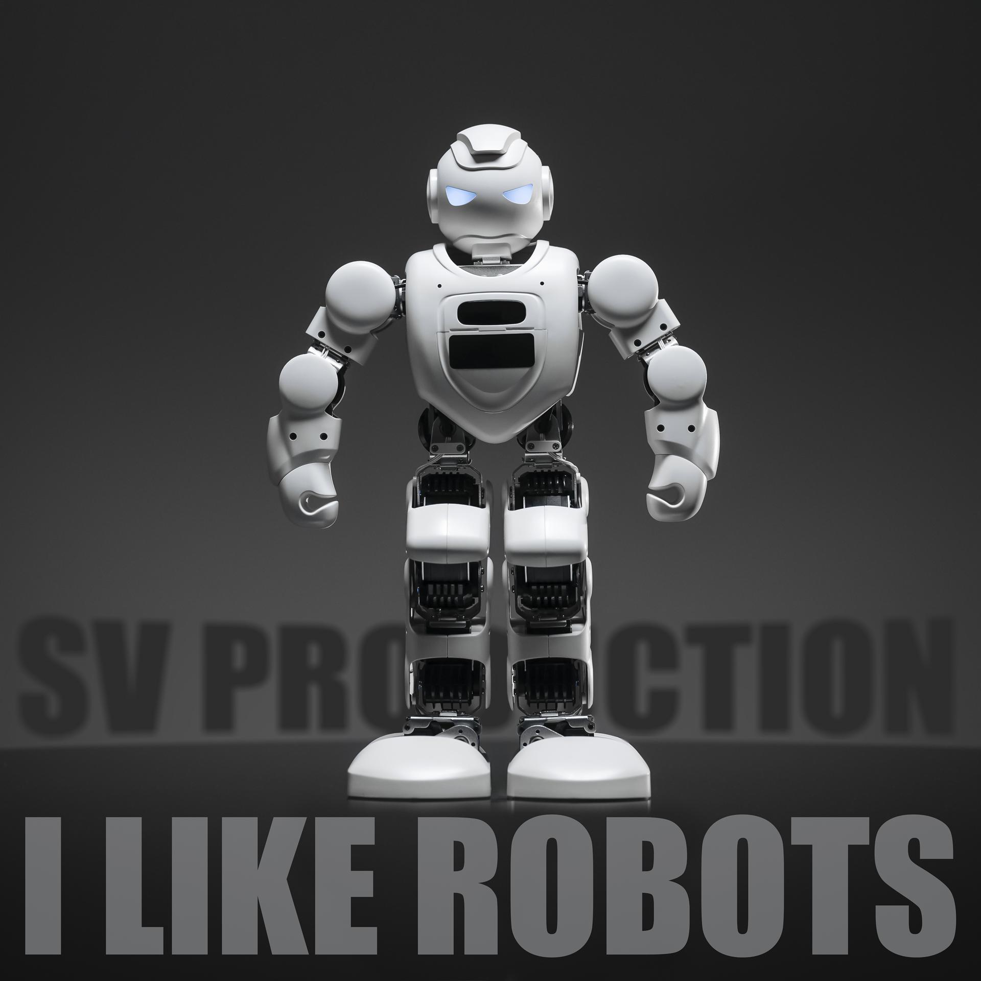 Постер альбома I Like Robots