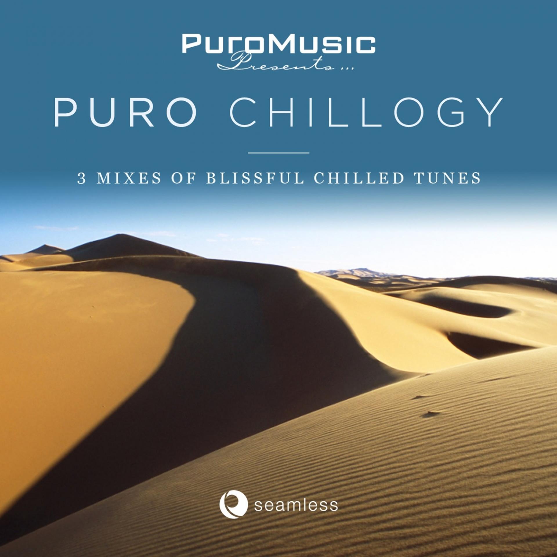Постер альбома Puro Music Presents Puro Chillogy