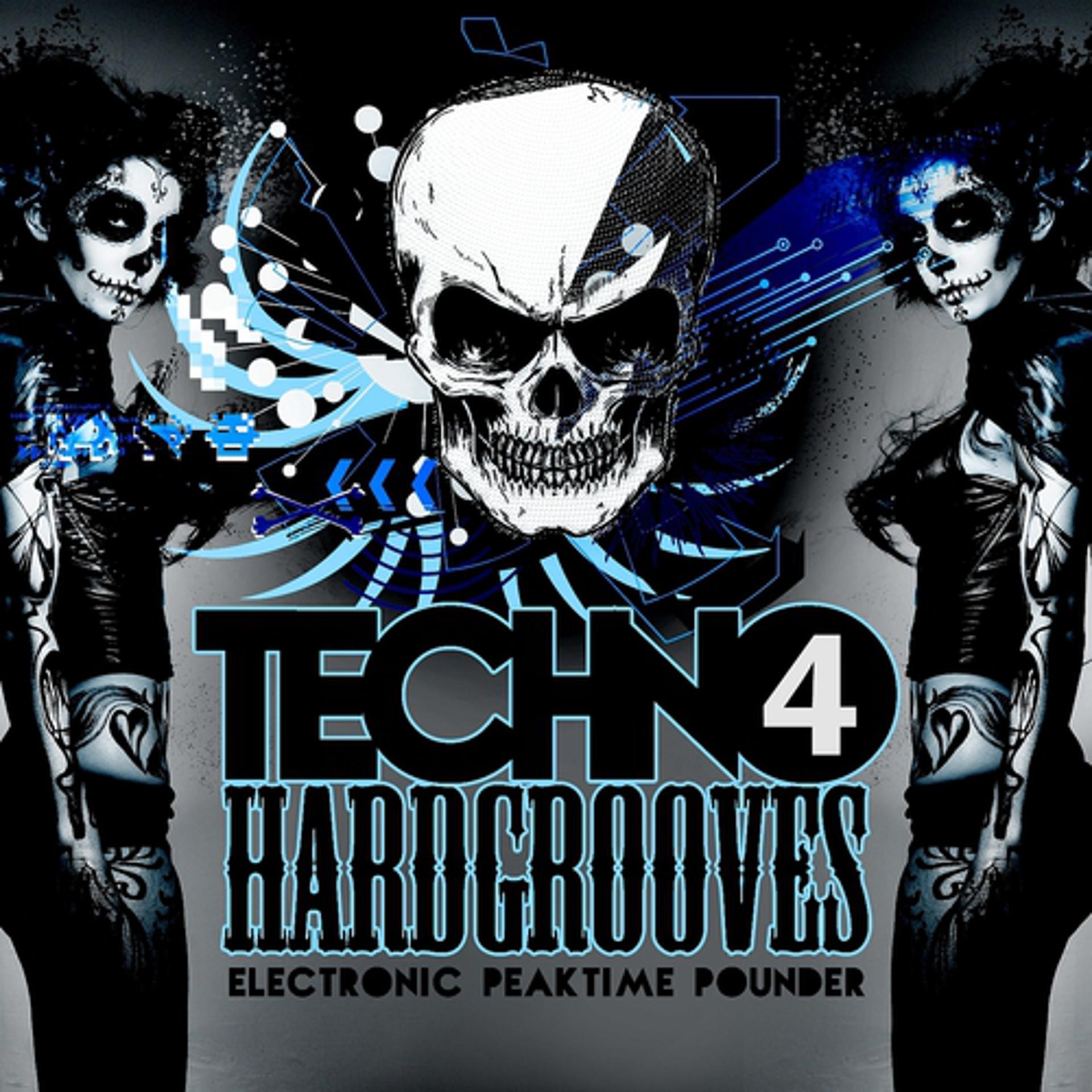 Постер альбома Techno Hardgrooves, Vol. 4