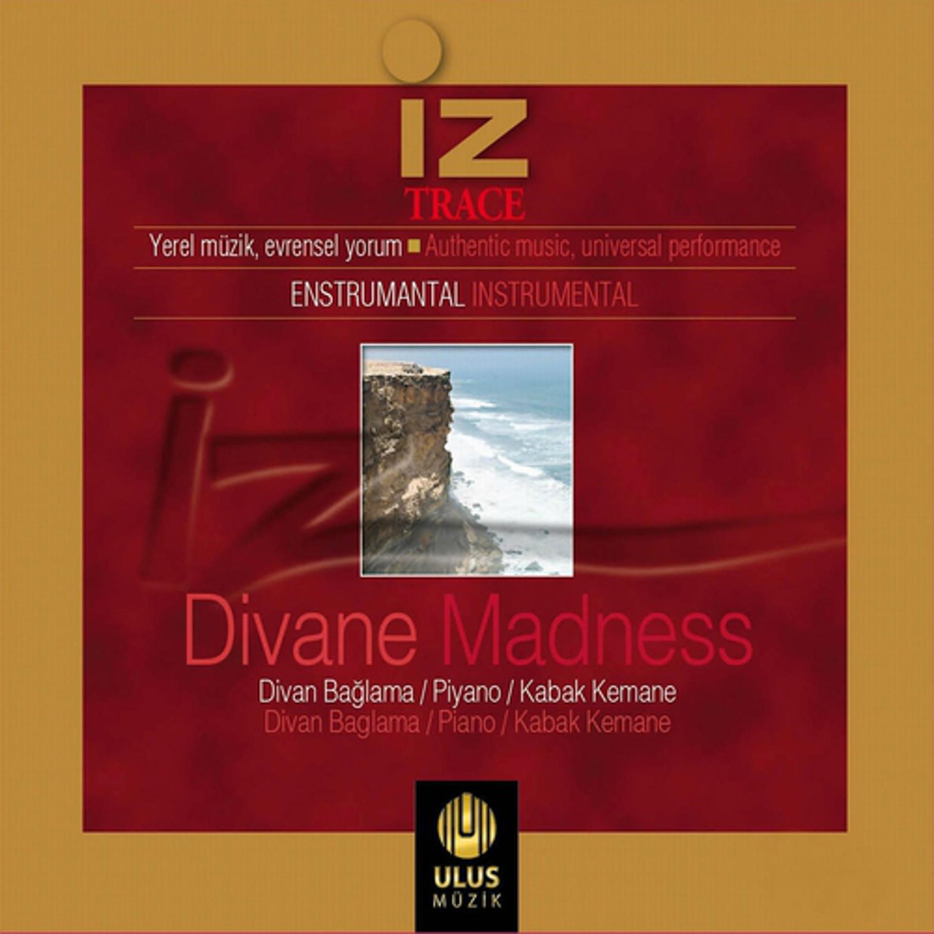 Постер альбома İz / Divane