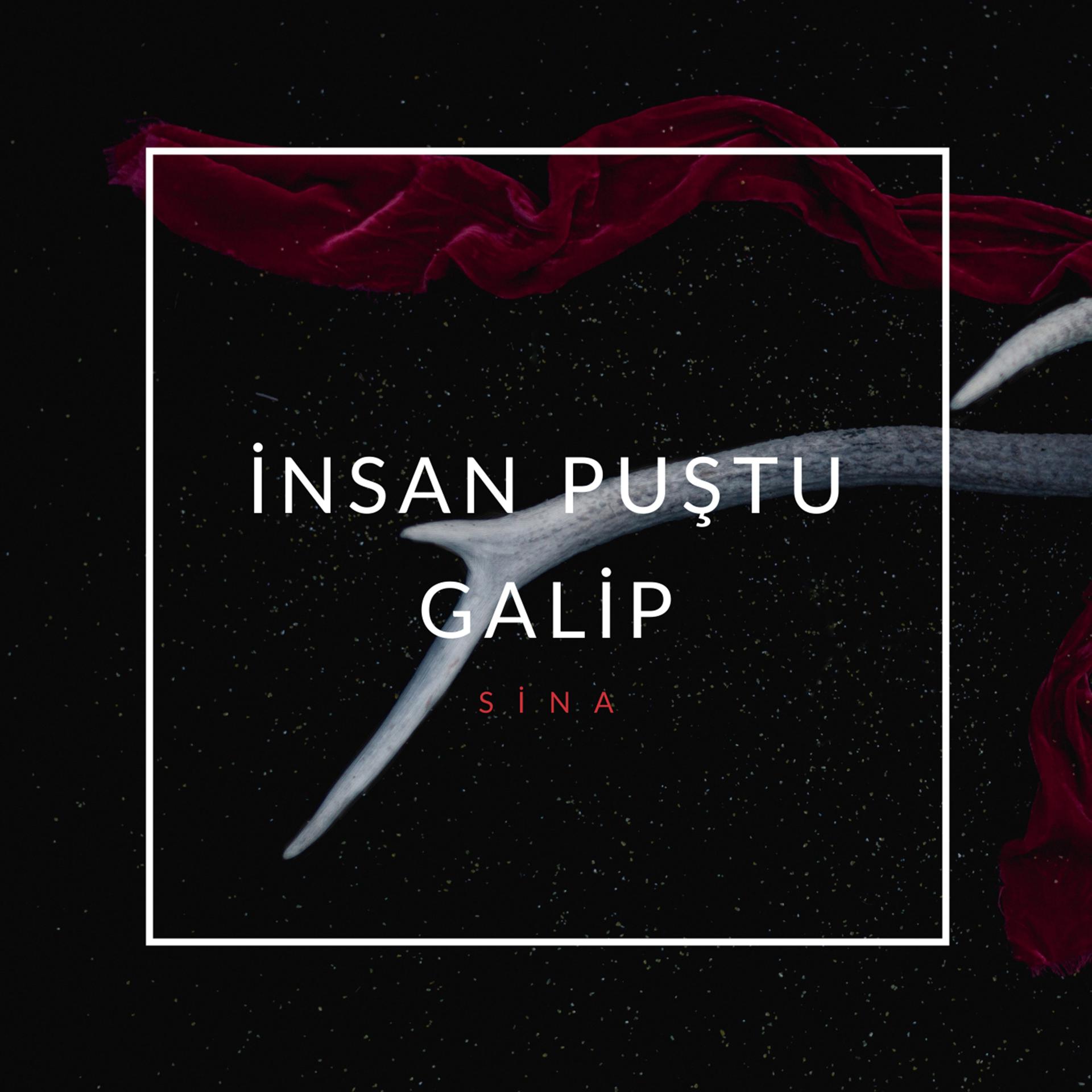 Постер альбома İnsan Puştu Galip