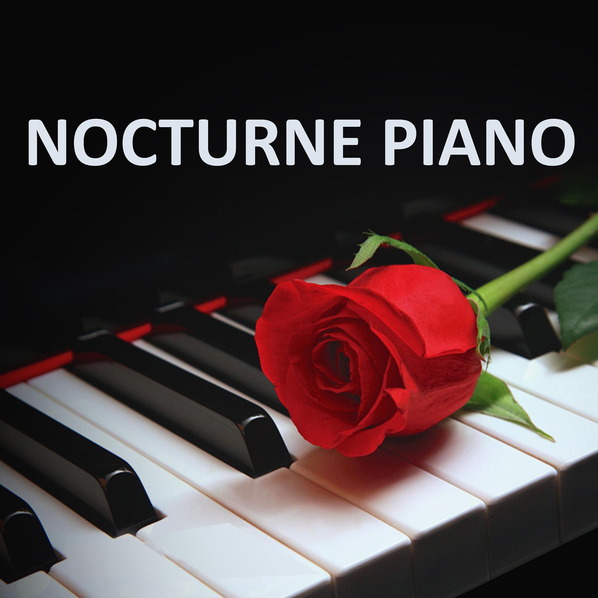 Постер альбома Nocturne Piano