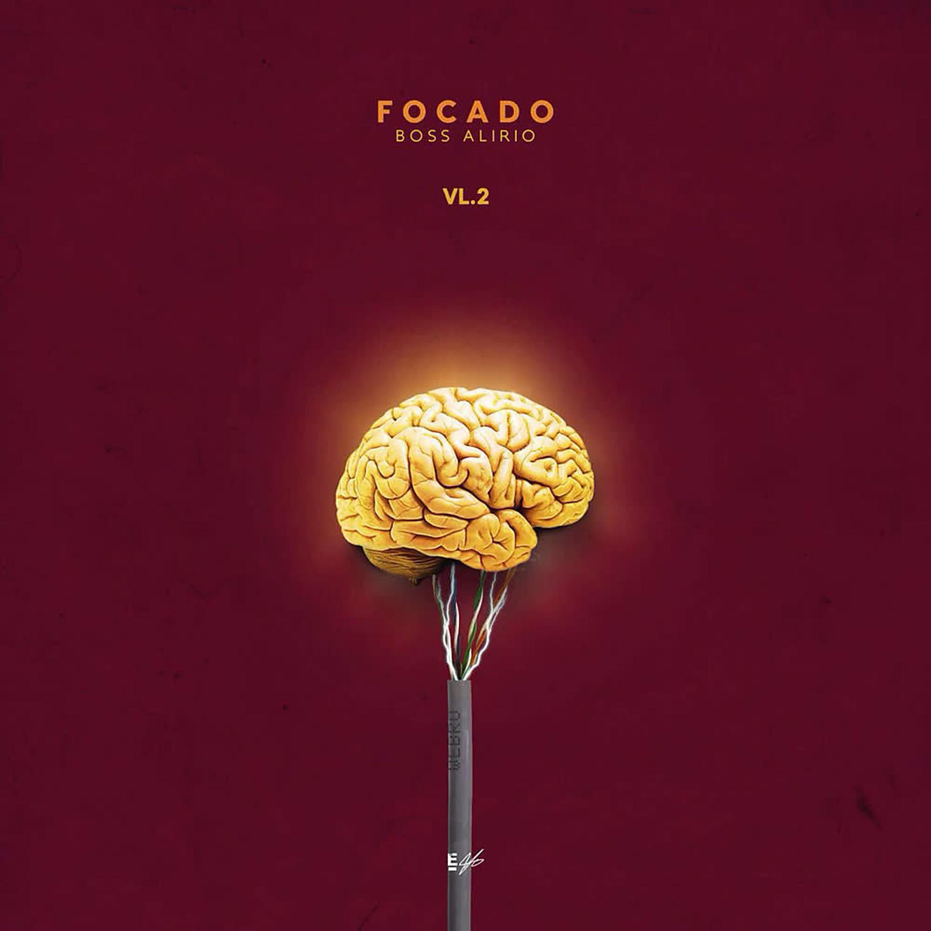 Постер альбома Focado (Vol. 2)