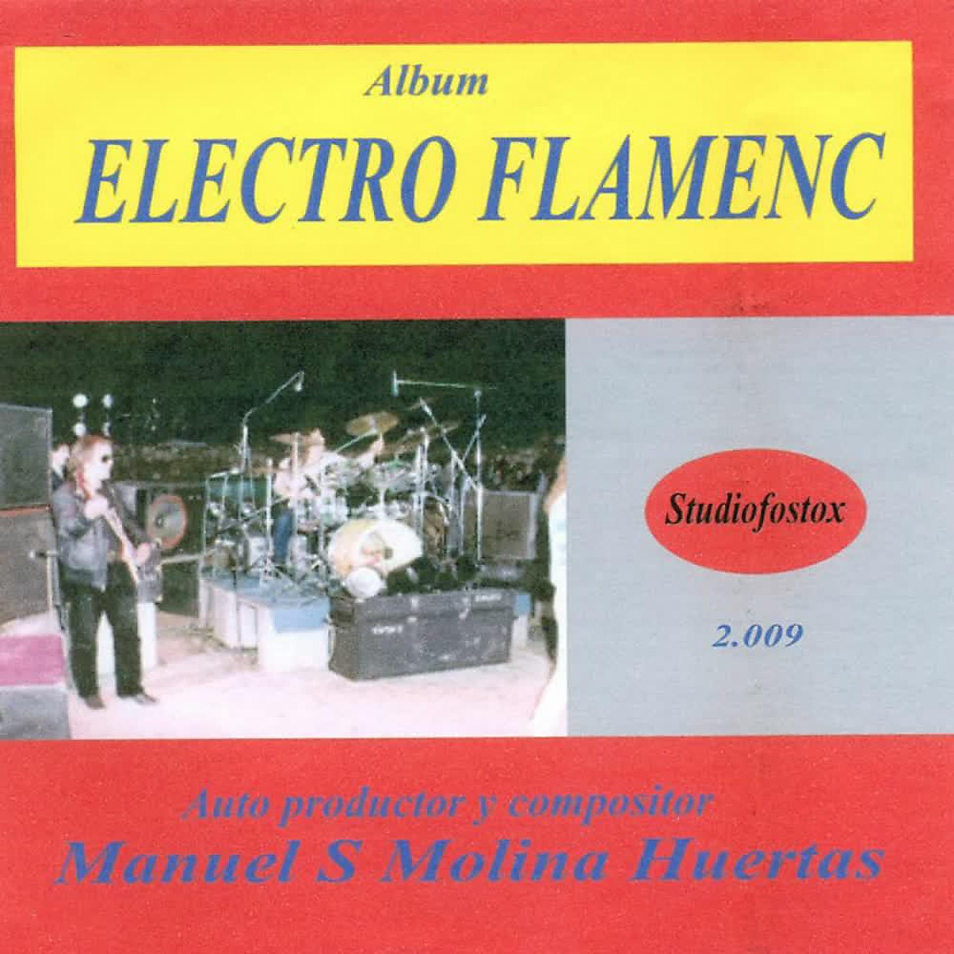 Постер альбома Electro Flamenc