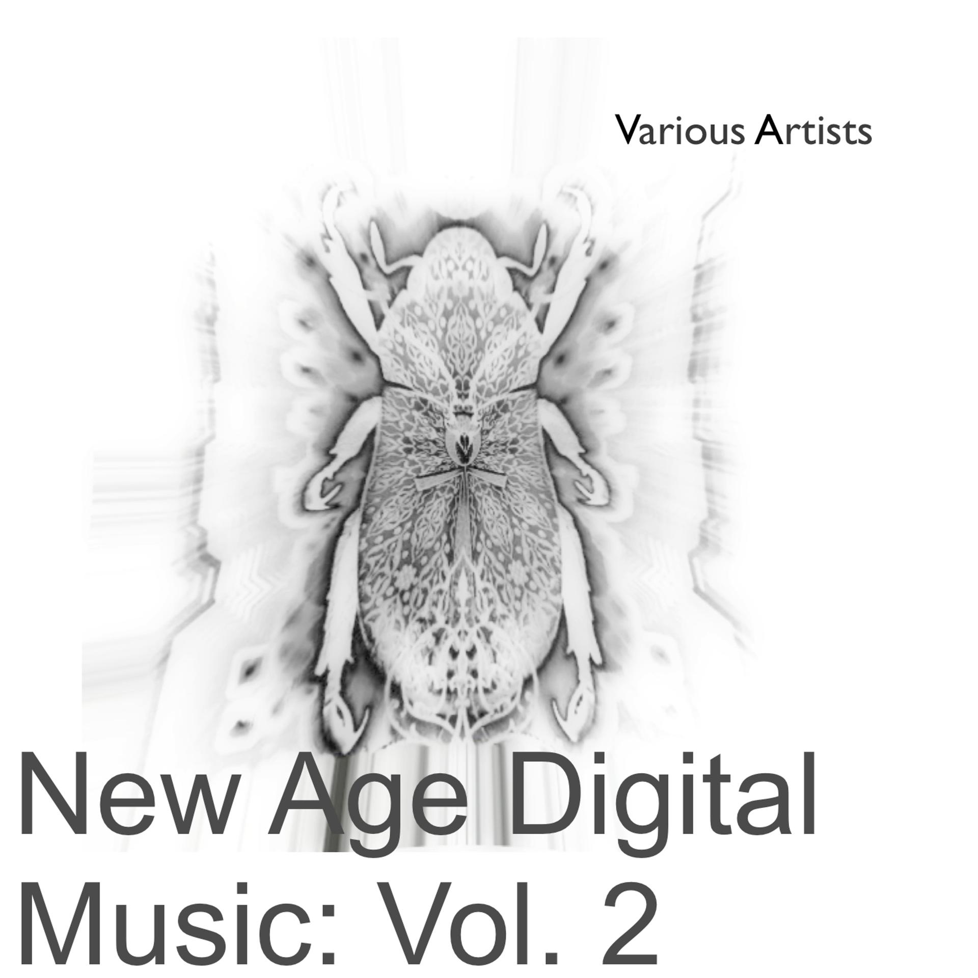 Постер альбома New Age Digital Music: Vol. 2