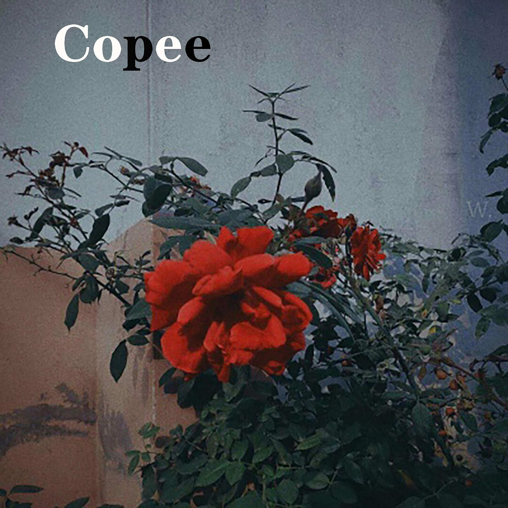 Постер альбома Copee