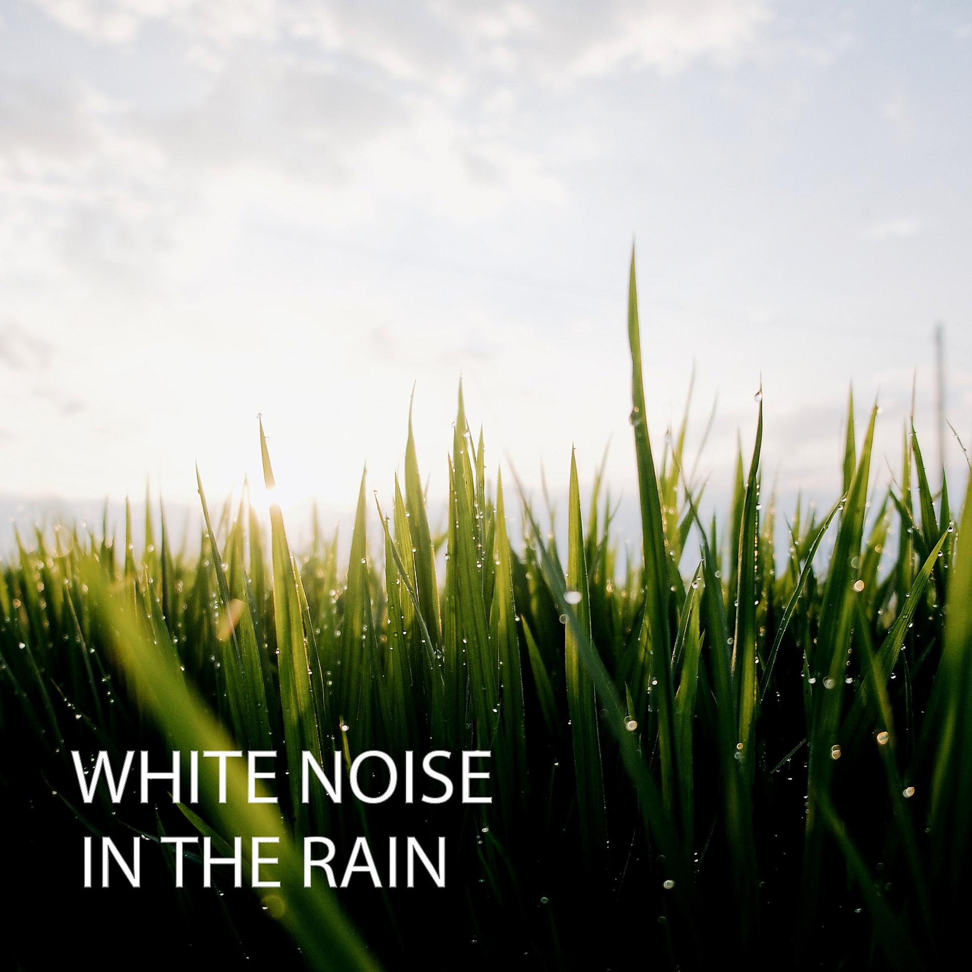 Постер альбома White Noise: In The Rain