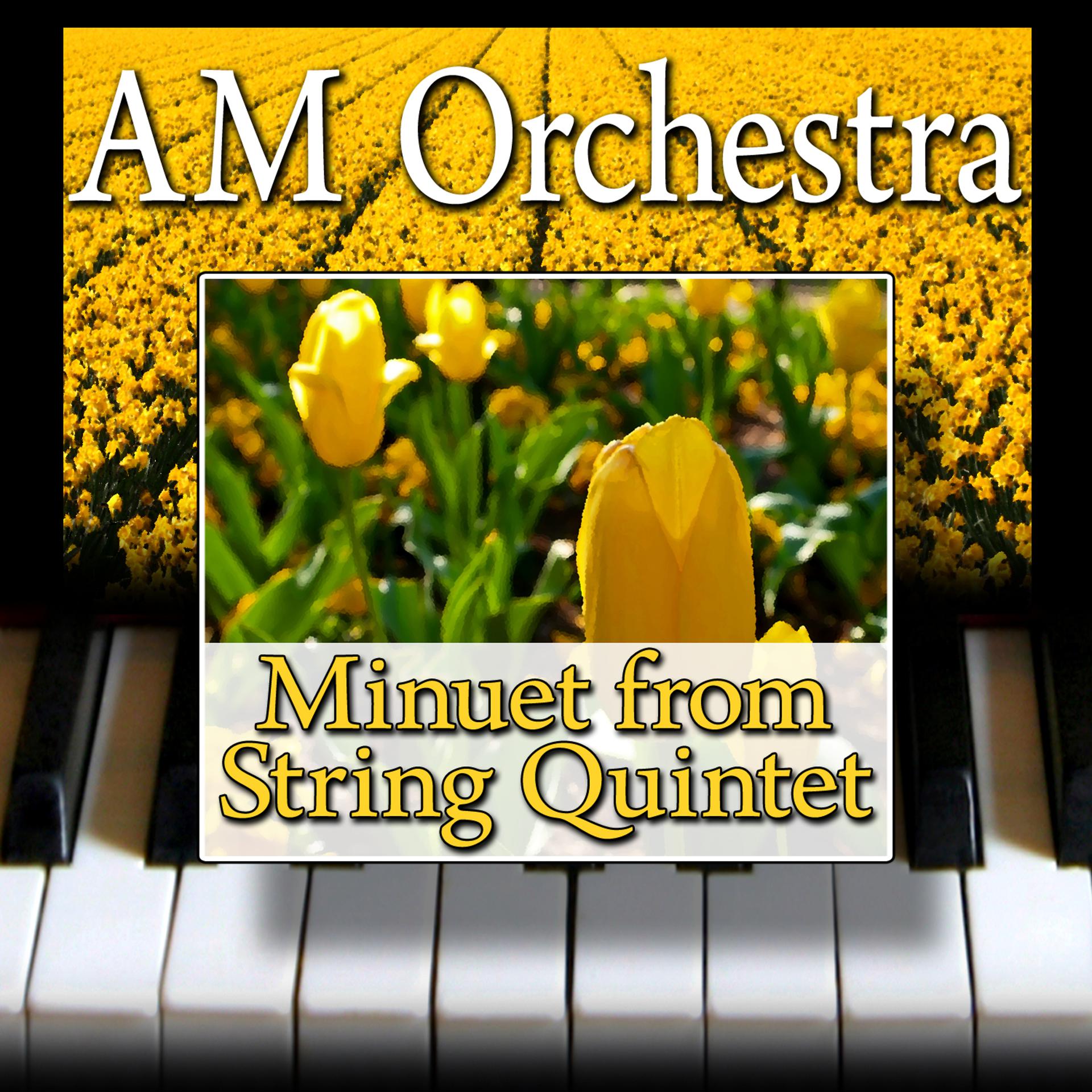 Постер альбома Minuet from String Quintet