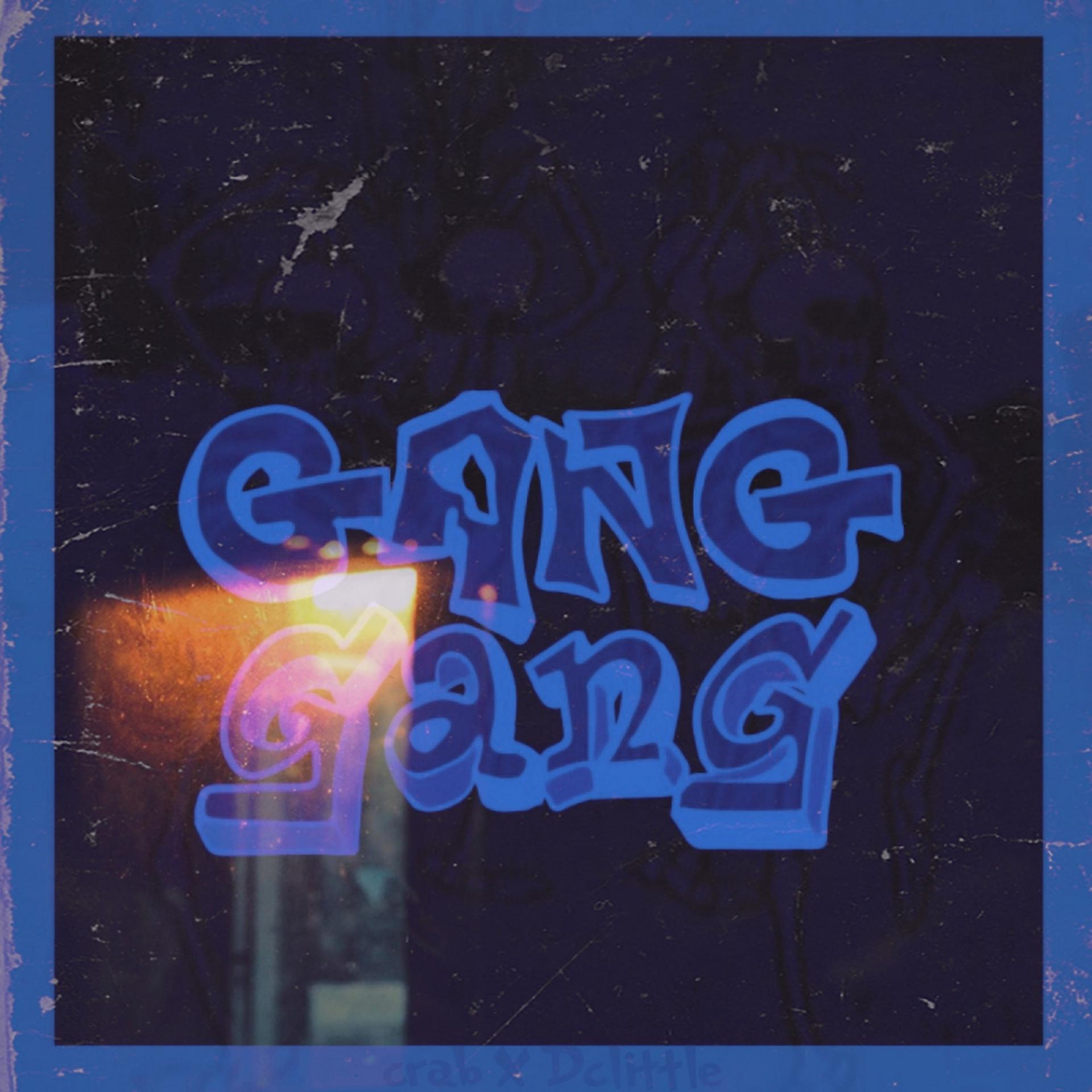 Постер альбома Gang Gang (DC Little Remix)