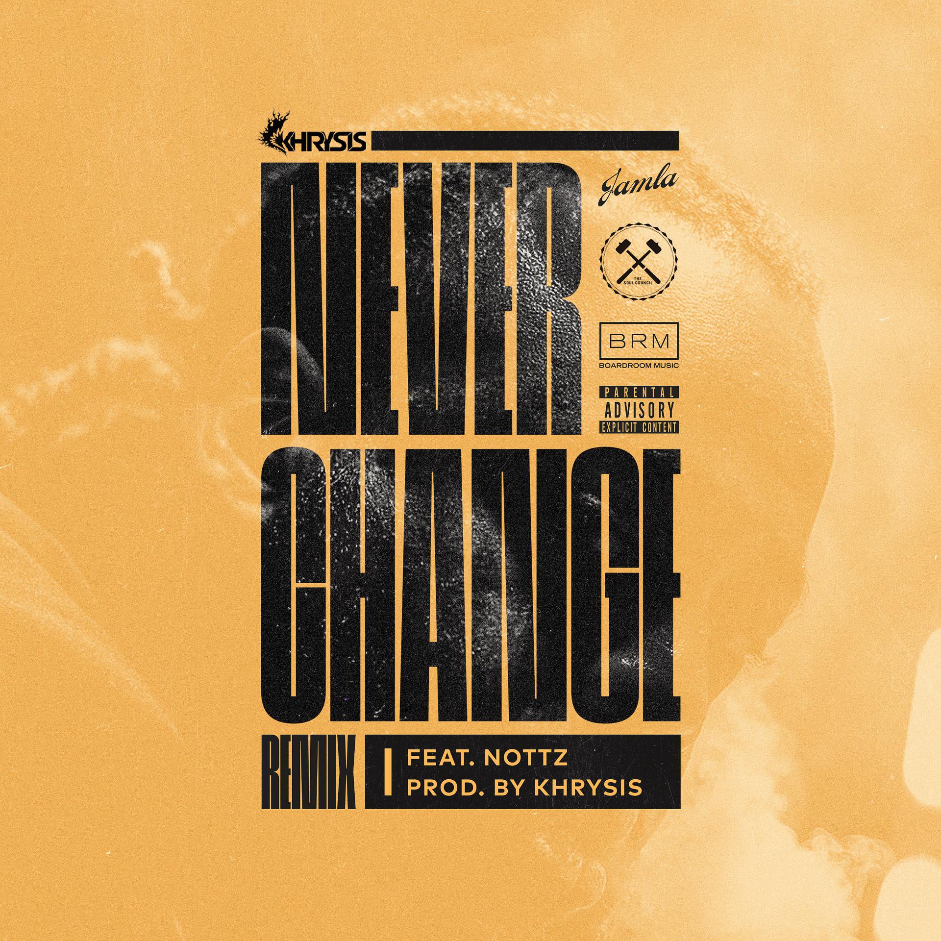 Постер альбома Never Change (Remix) [feat. Nottz]