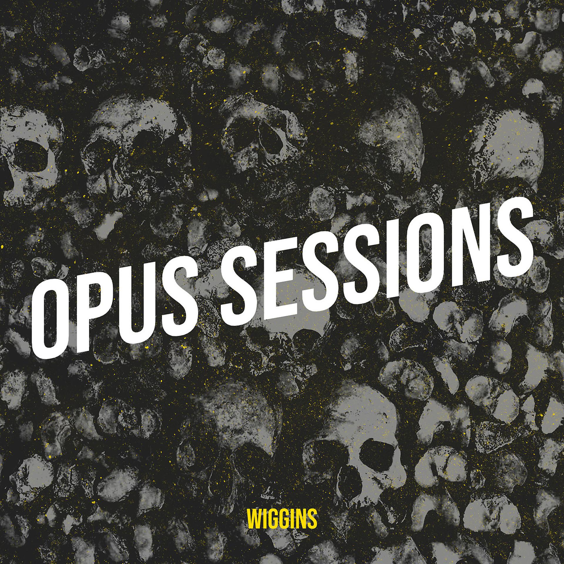 Постер альбома Opus Sessions