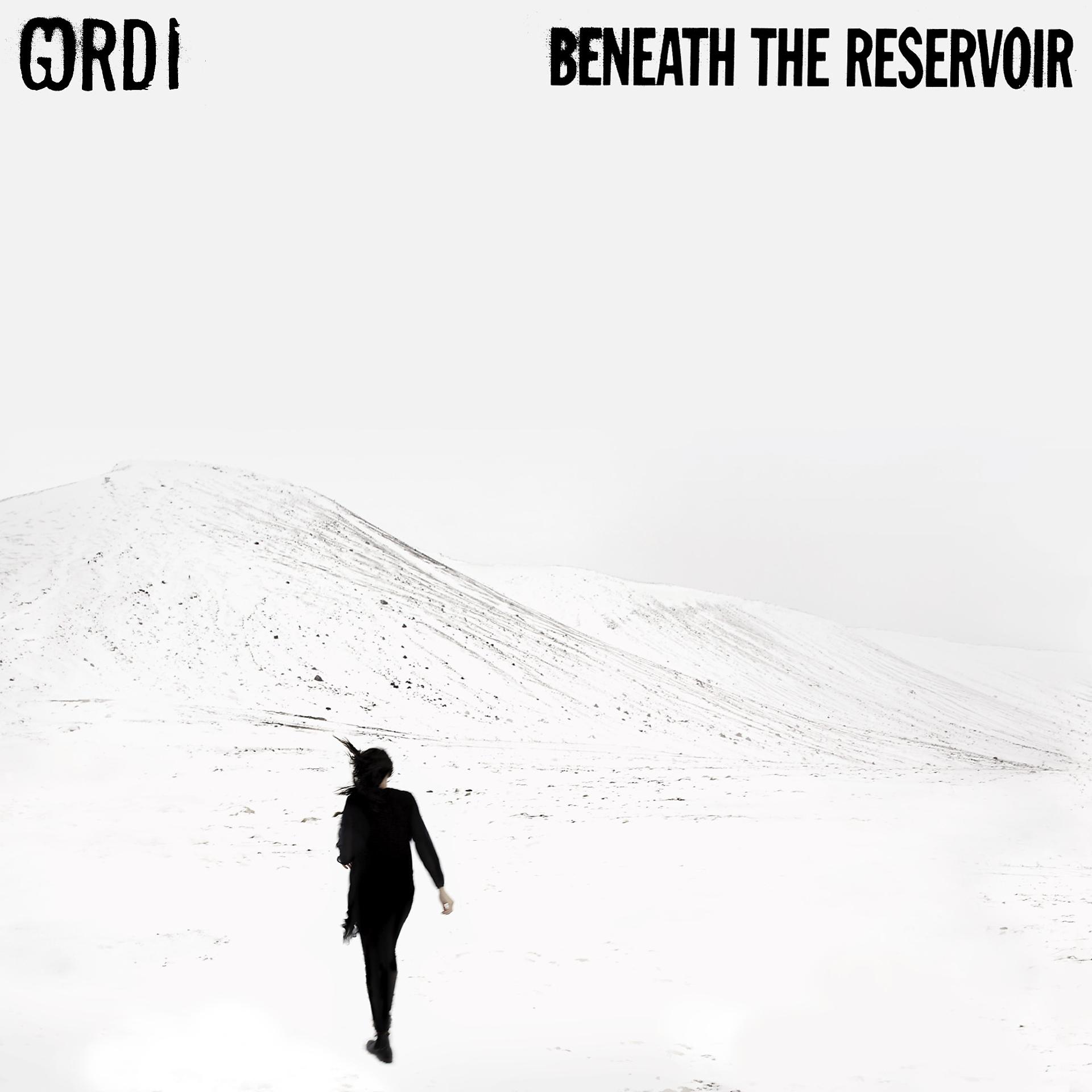 Постер альбома Beneath The Reservoir
