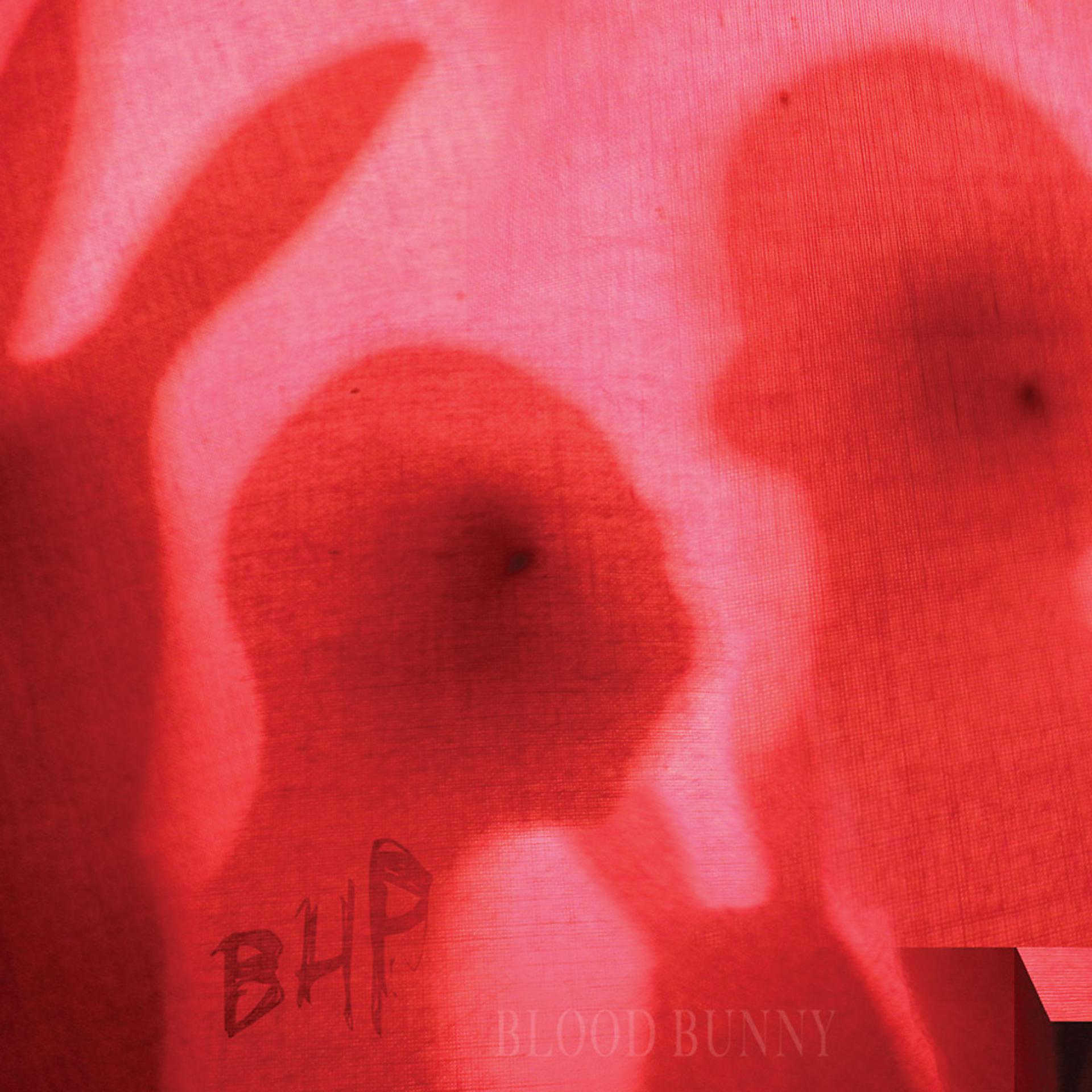 Постер альбома Blood Bunny / Black Rabbit